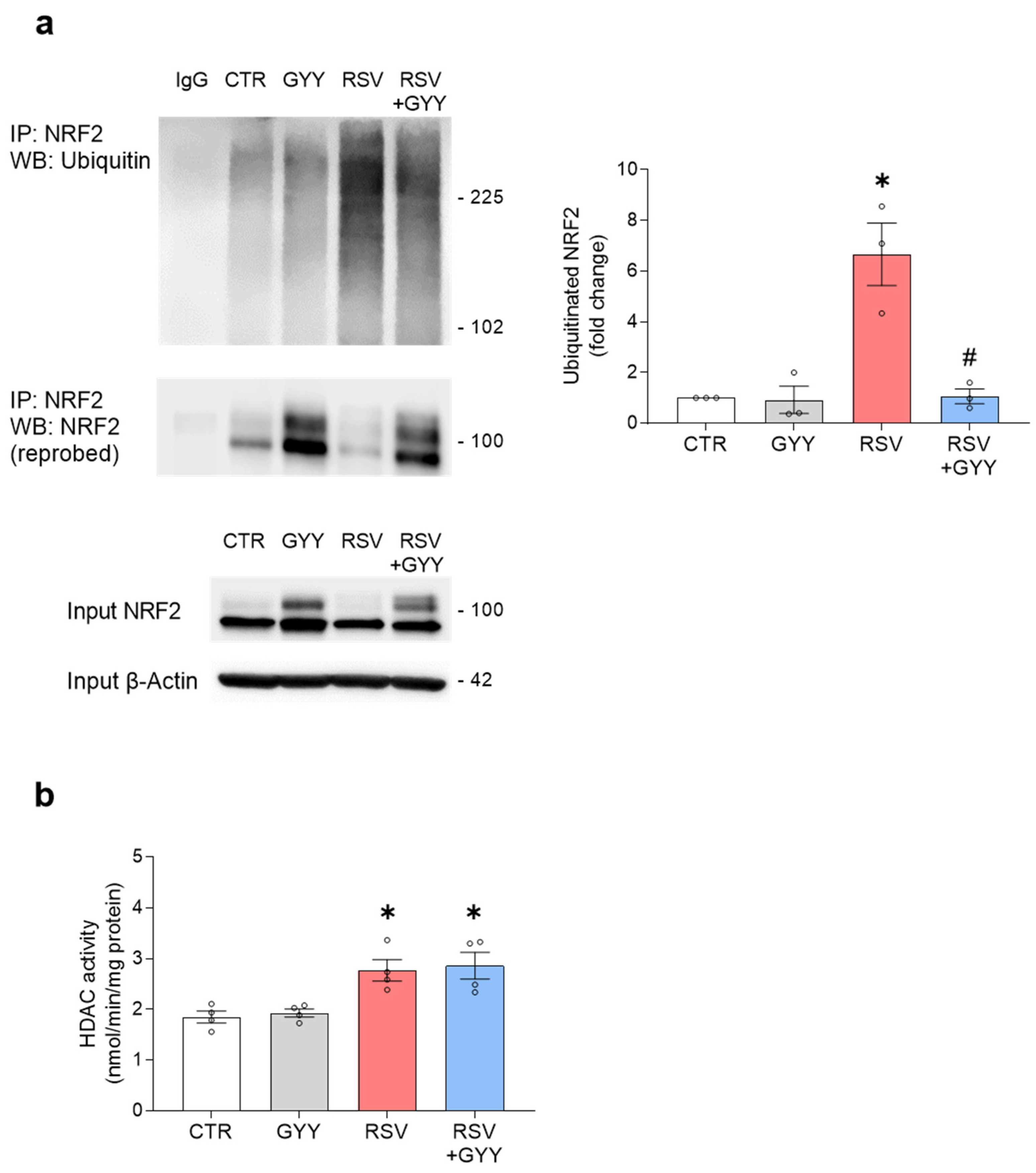 Antioxidants 11 01410 g004