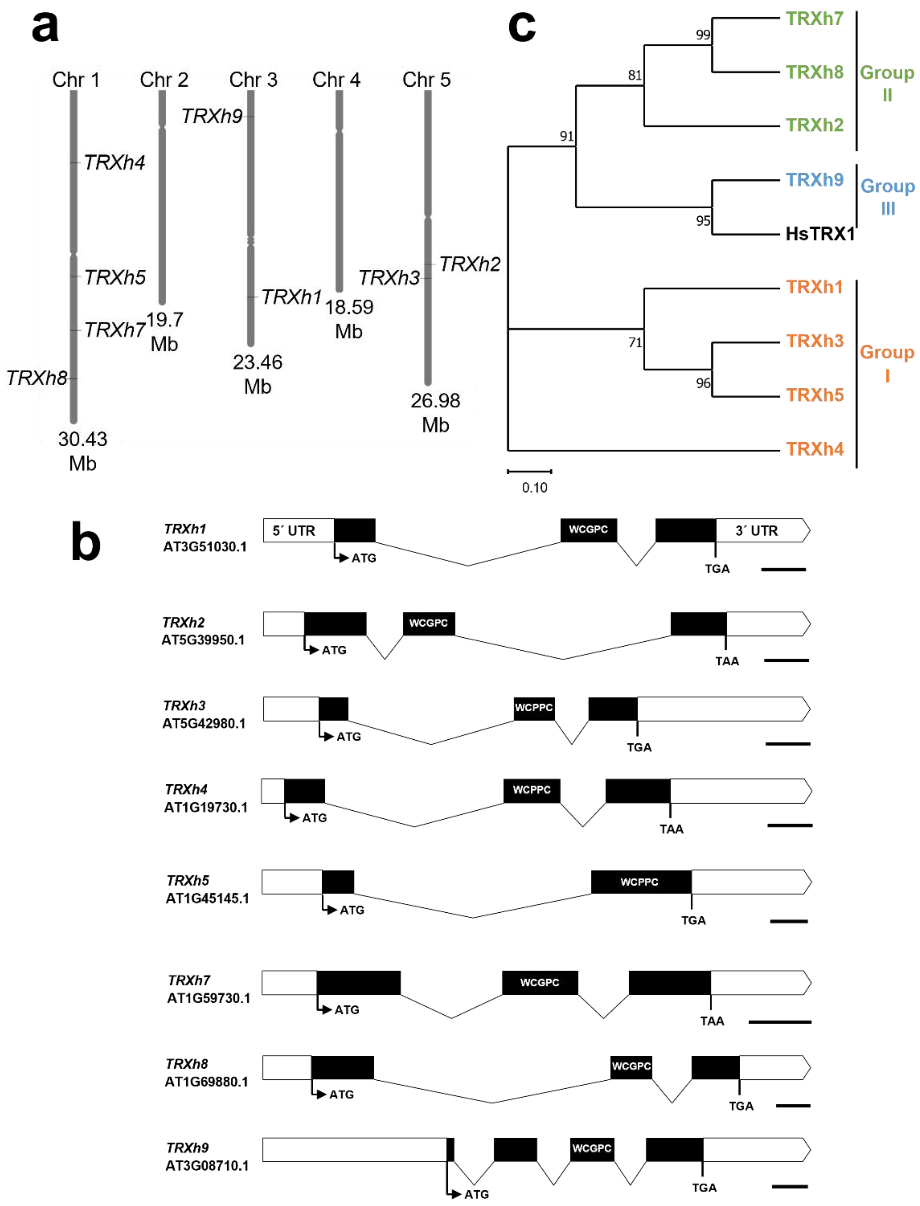 Antioxidants 11 01411 g002 550