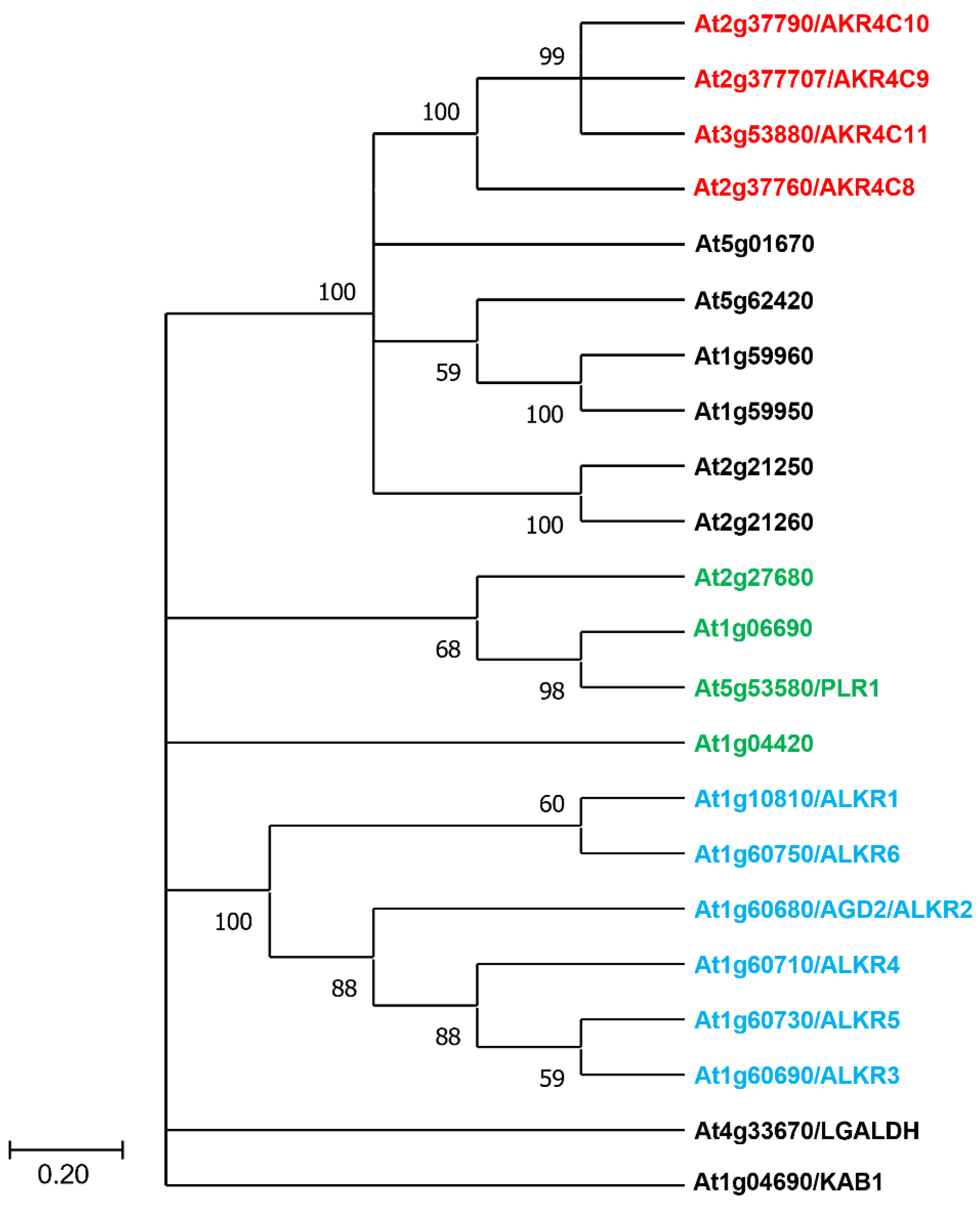 Antioxidants 11 01411 g005 550