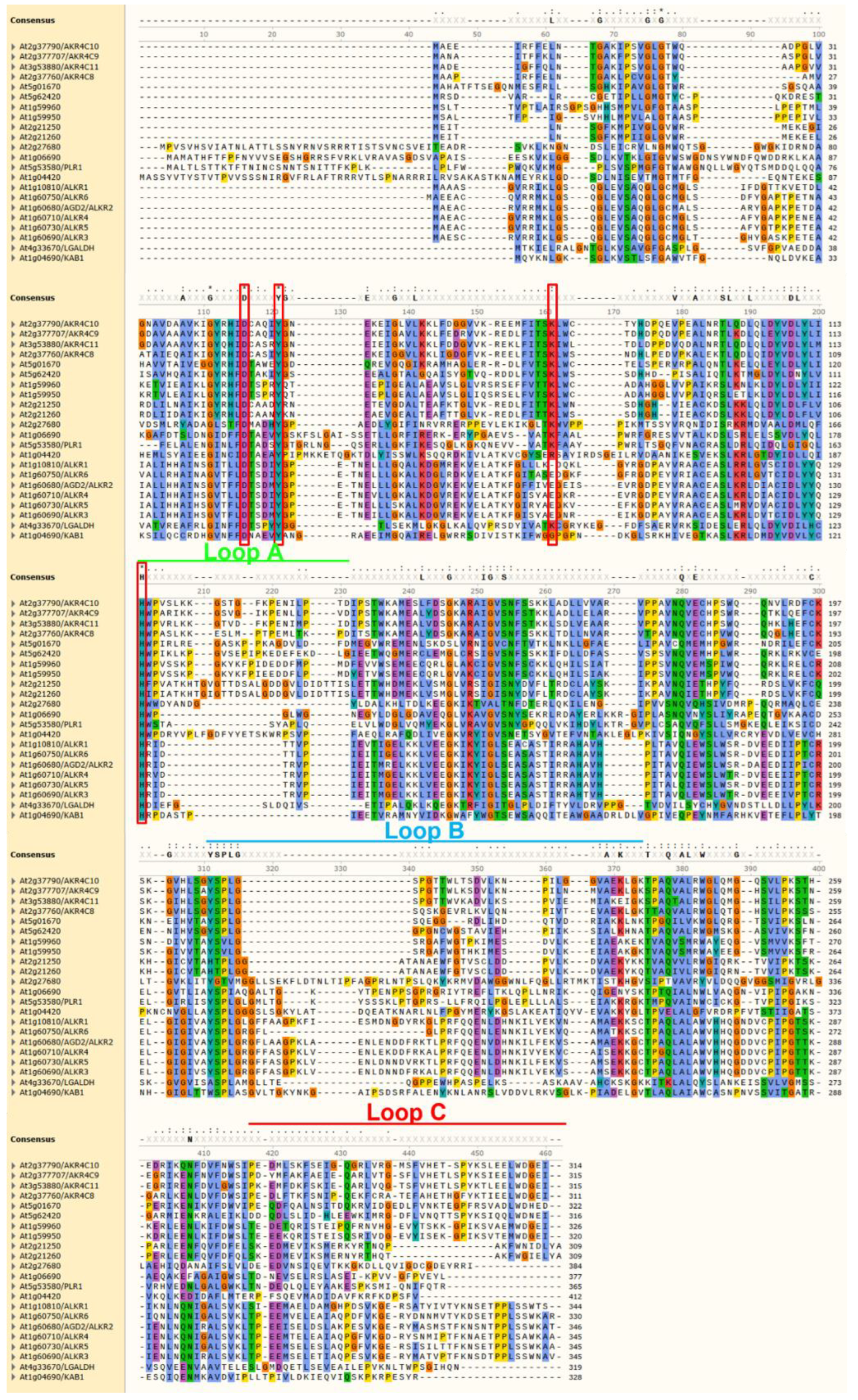 Antioxidants 11 01411 g006 550