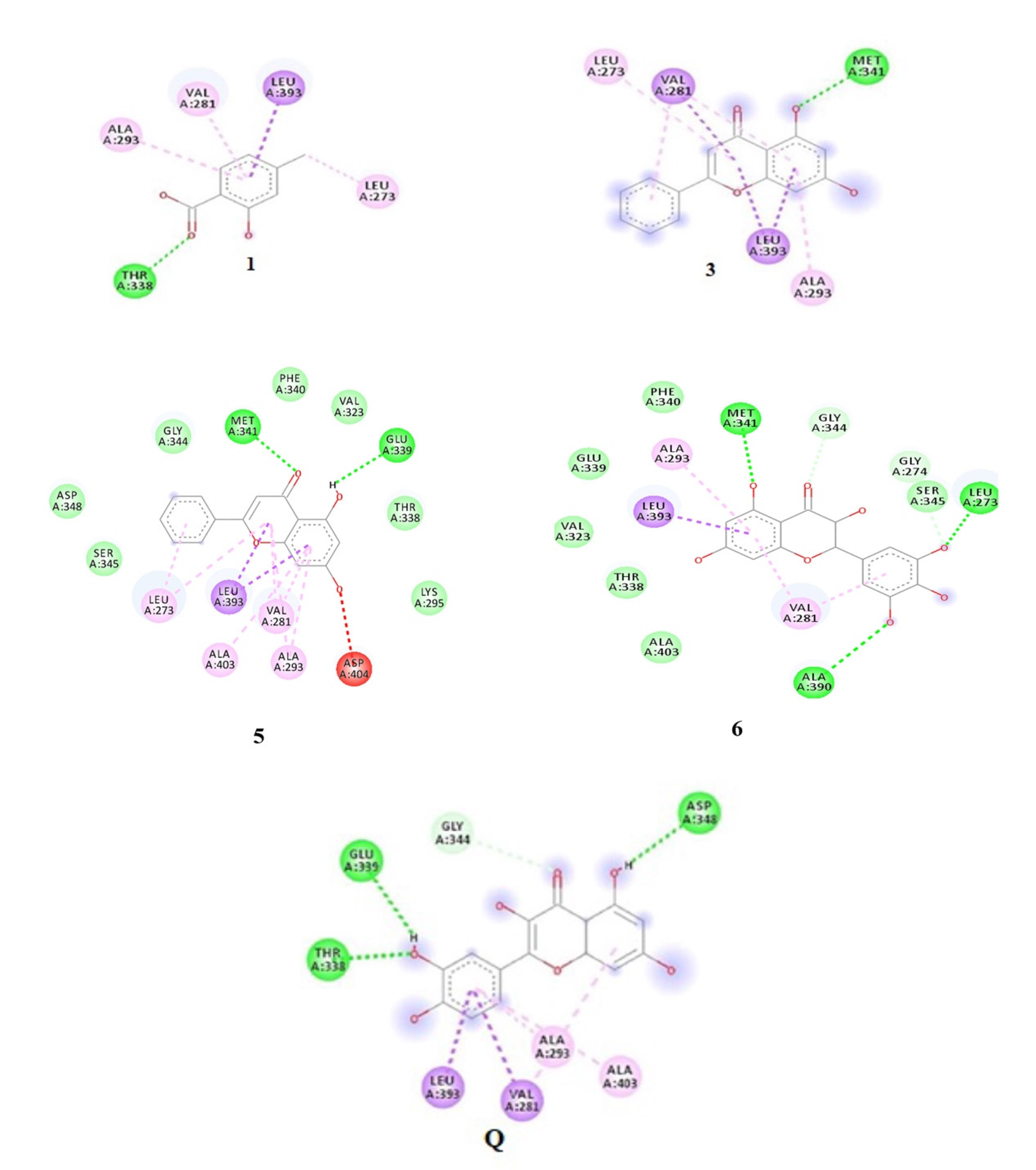 Antioxidants 11 01413 g005