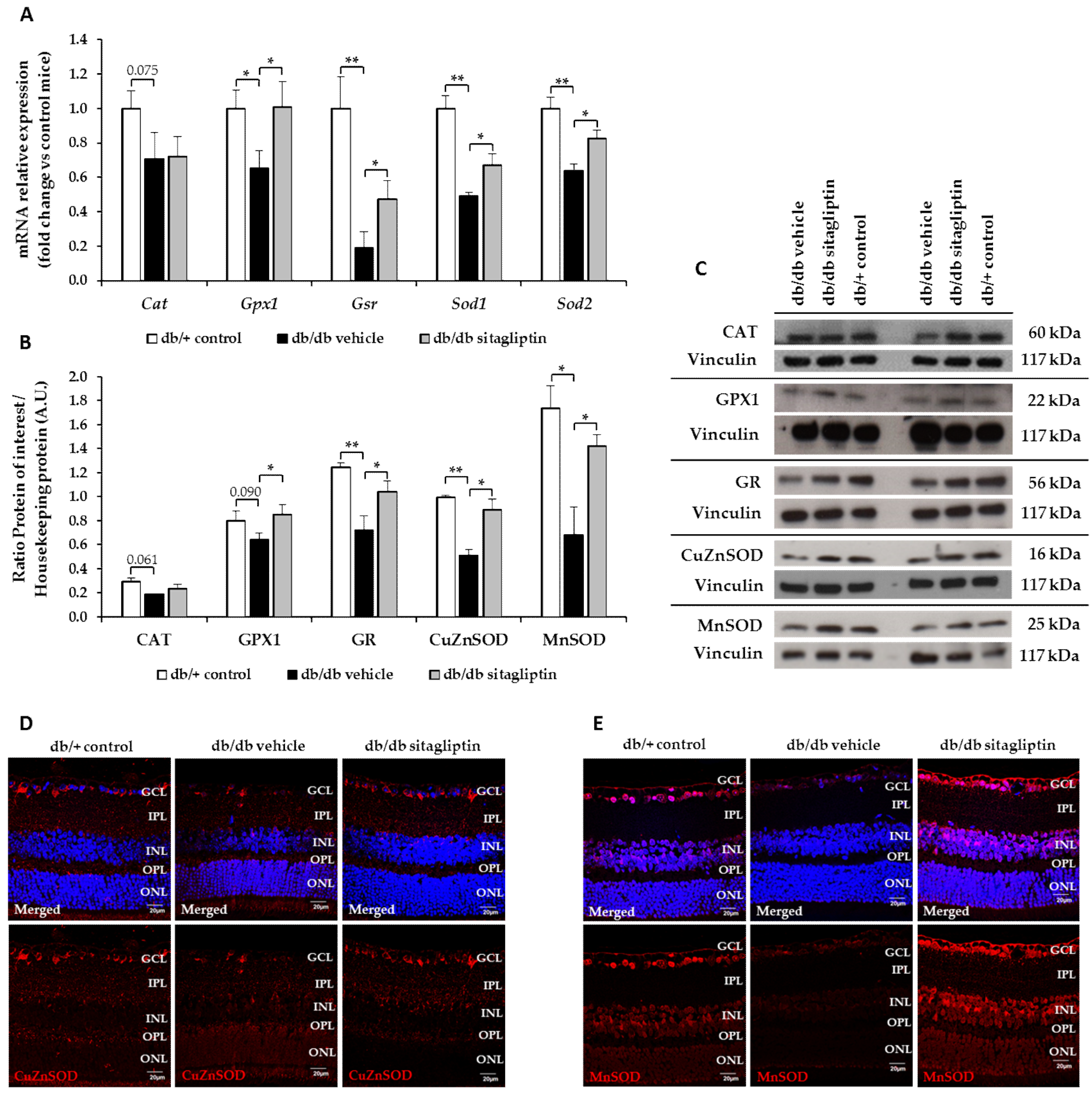 Antioxidants 11 01418 g003 550