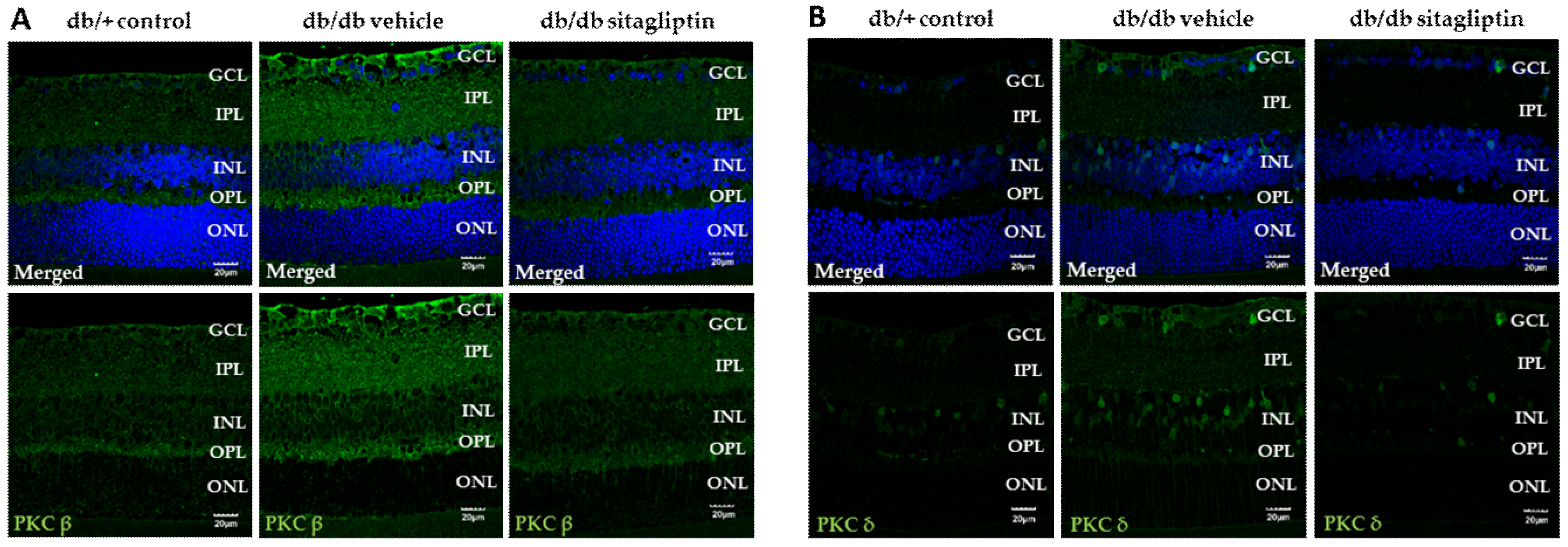 Antioxidants 11 01418 g006 550