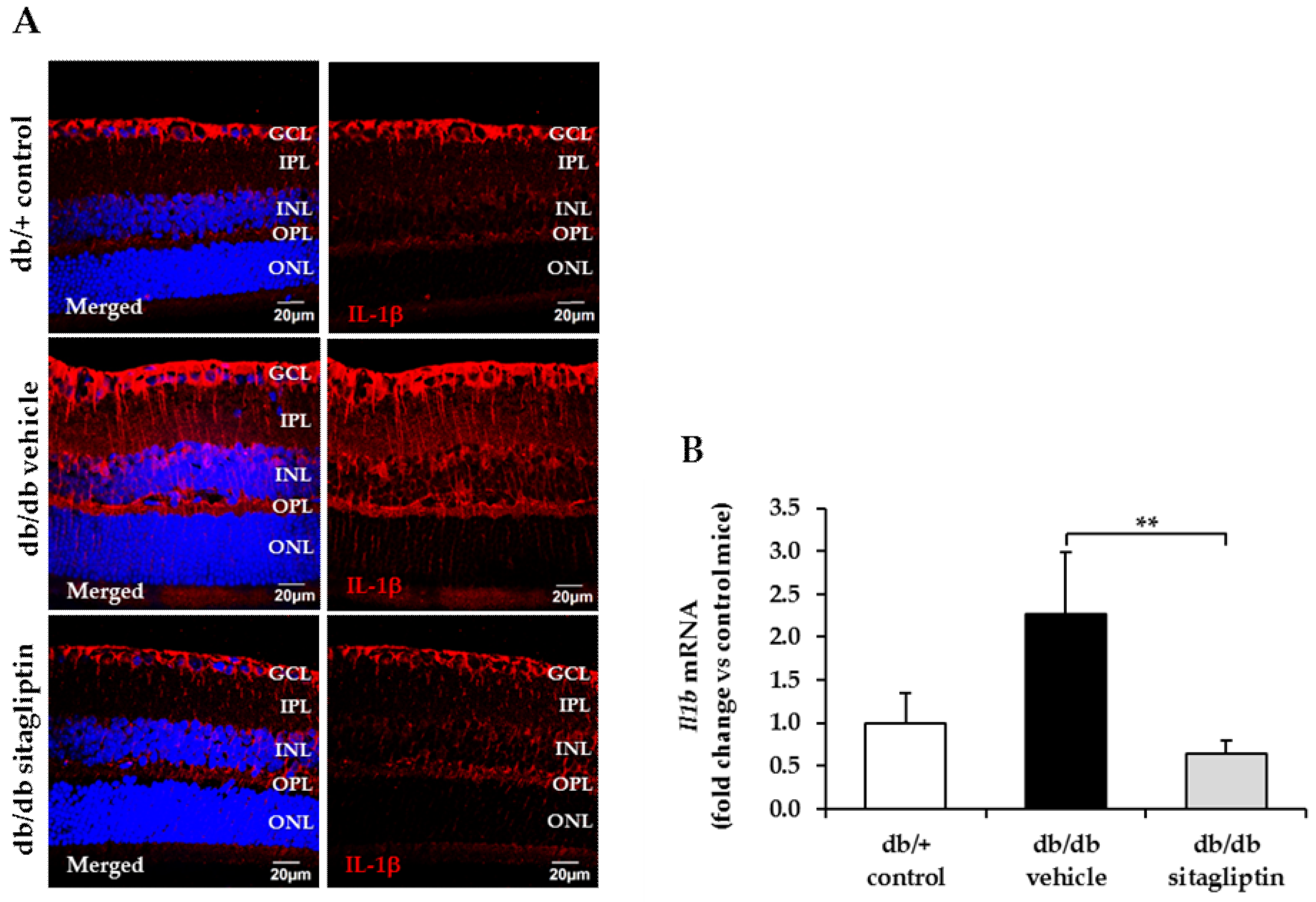 Antioxidants 11 01418 g008 550