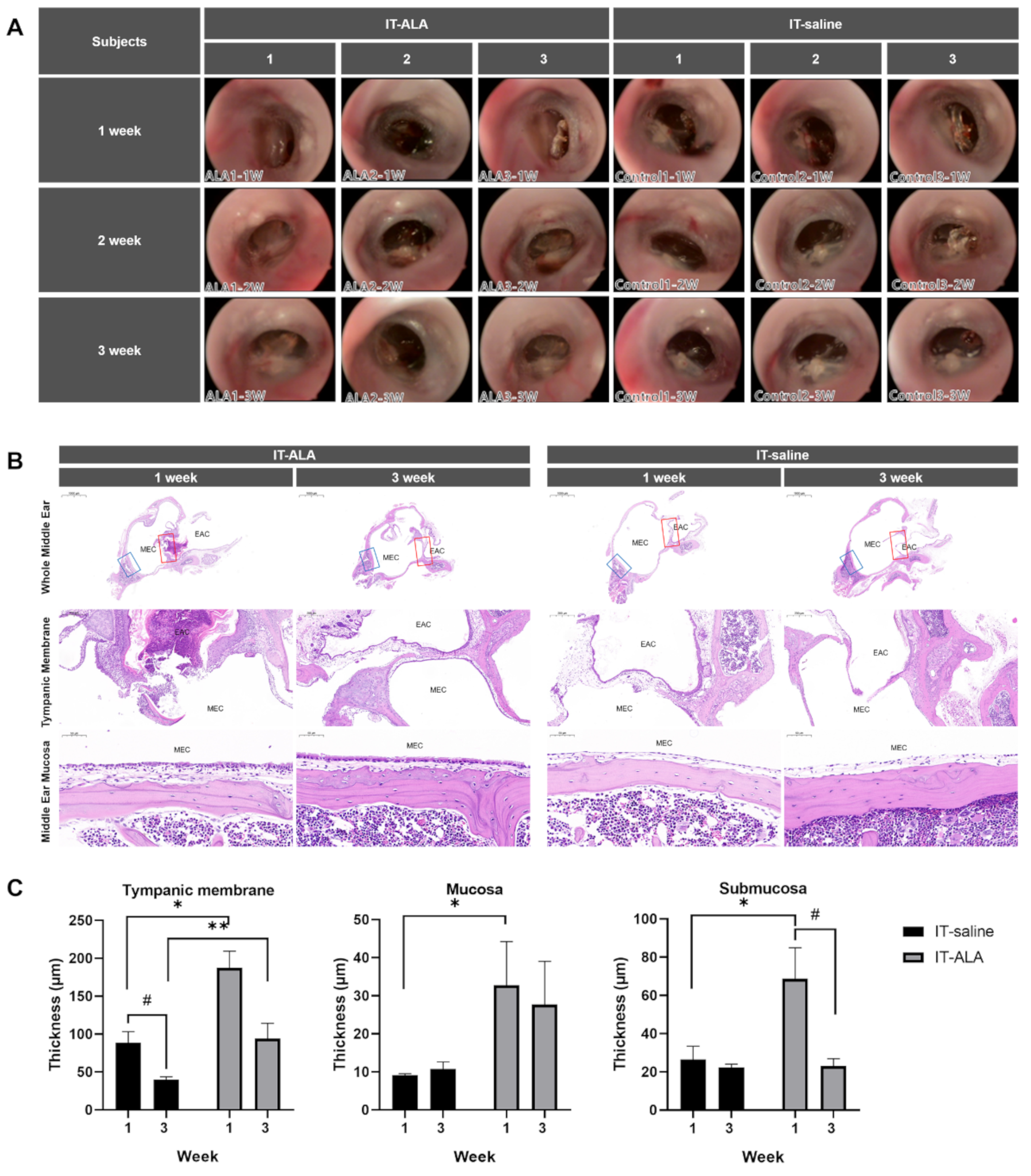 Antioxidants 11 01423 g002 Antioxidants 11 01423 g002