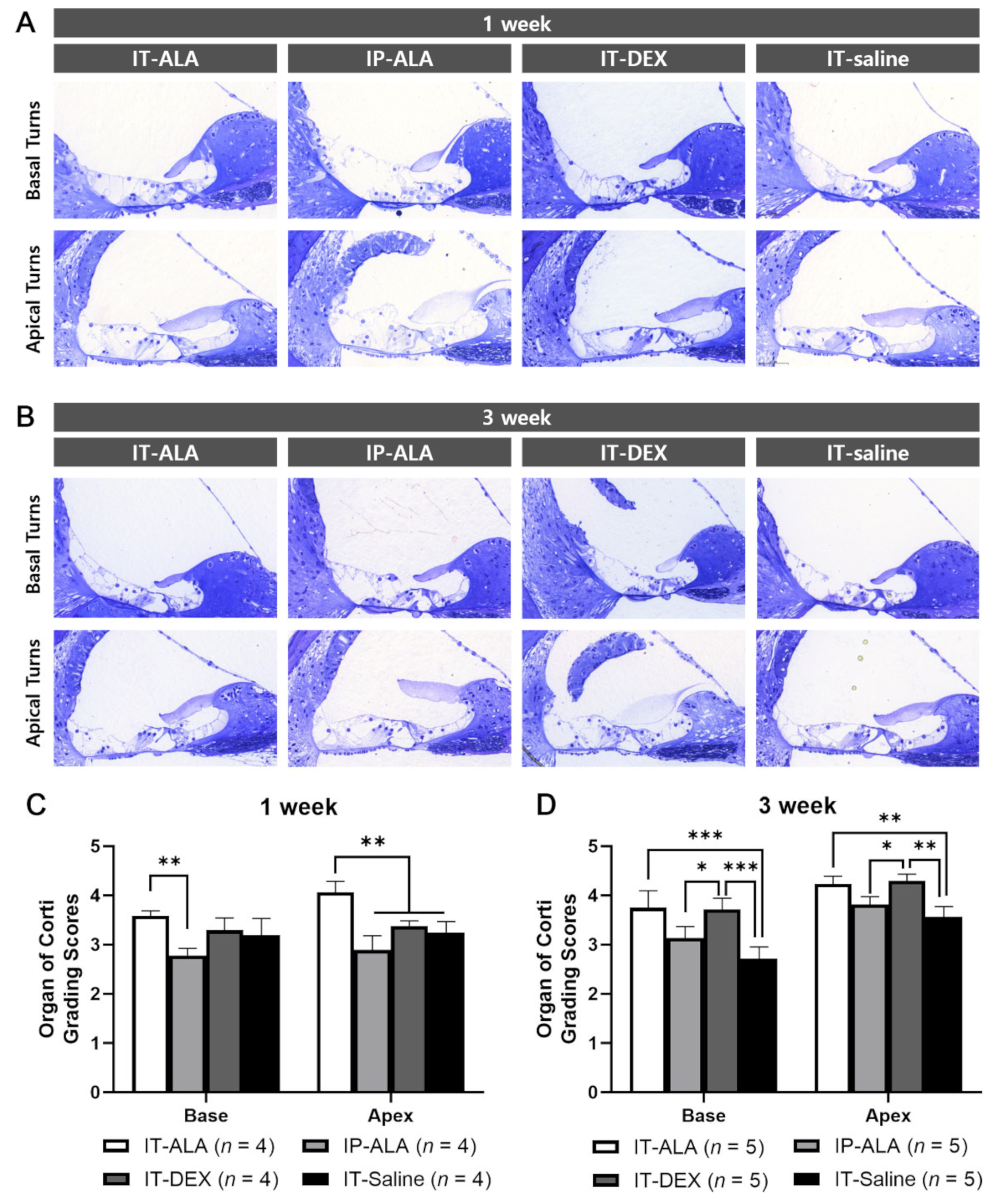 Antioxidants 11 01423 g004 Antioxidants 11 01423 g004