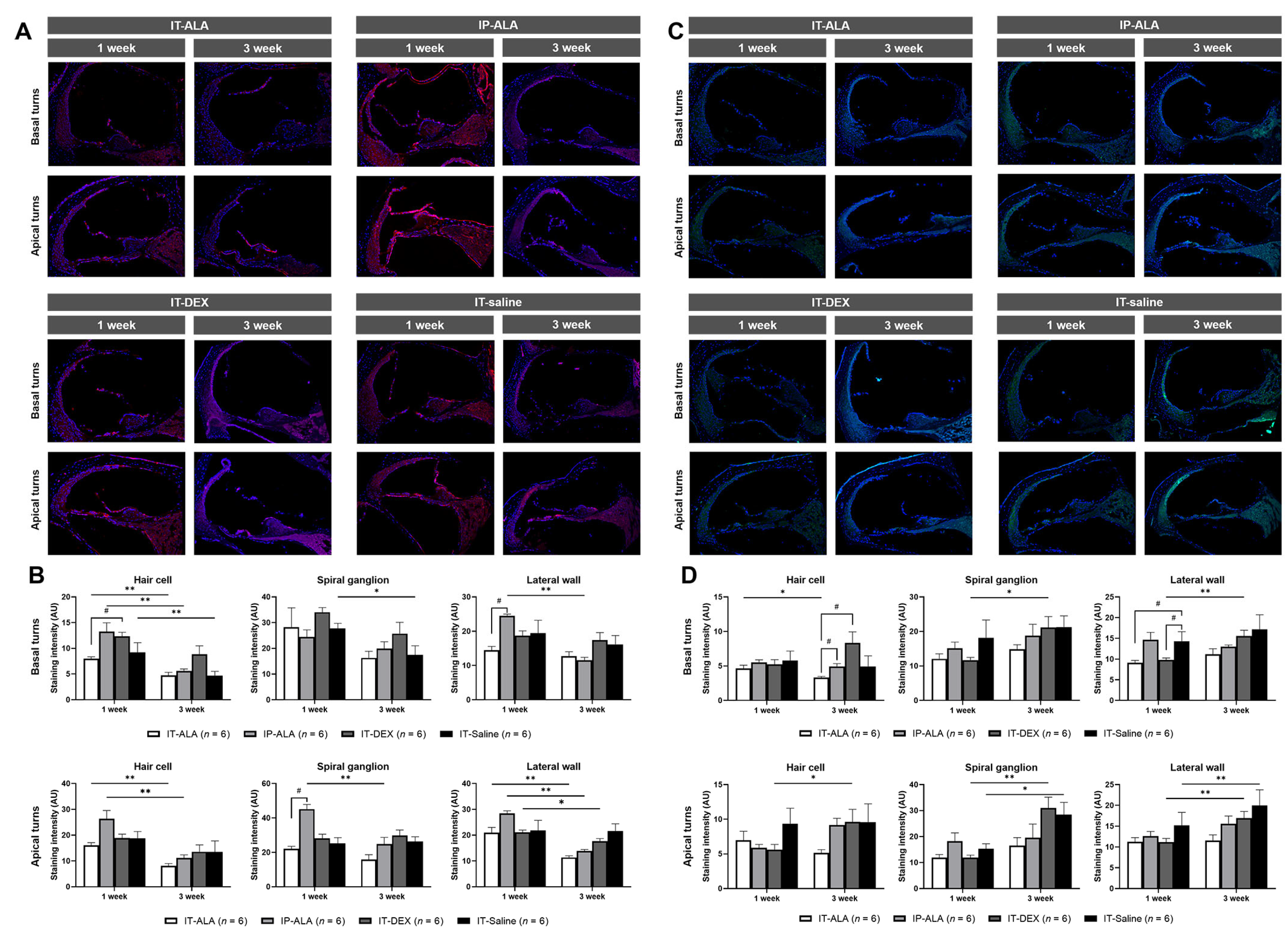 Antioxidants 11 01423 g006 Antioxidants 11 01423 g006