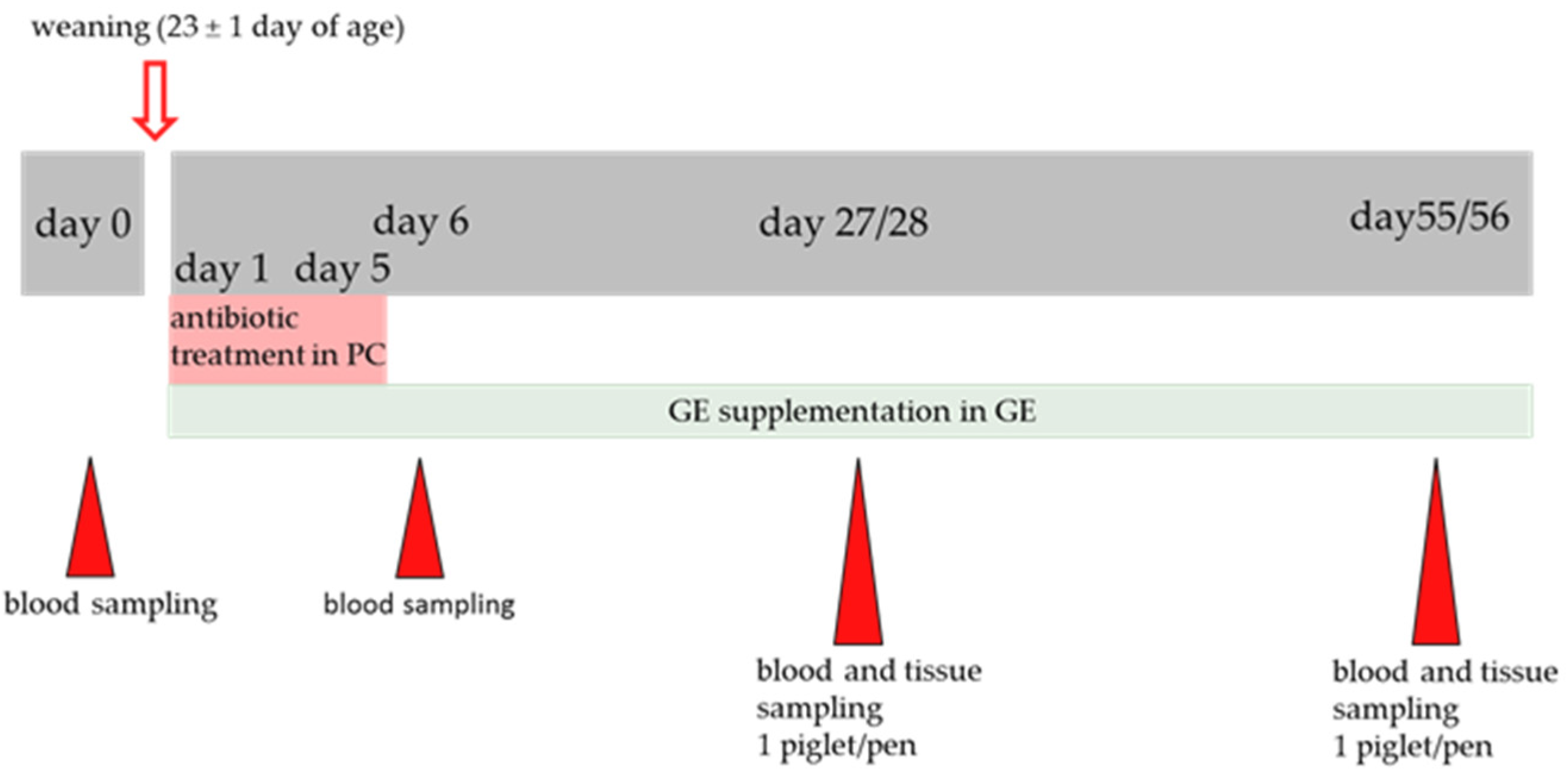 Antioxidants 11 01428 g001 Antioxidants 11 01428 g001
