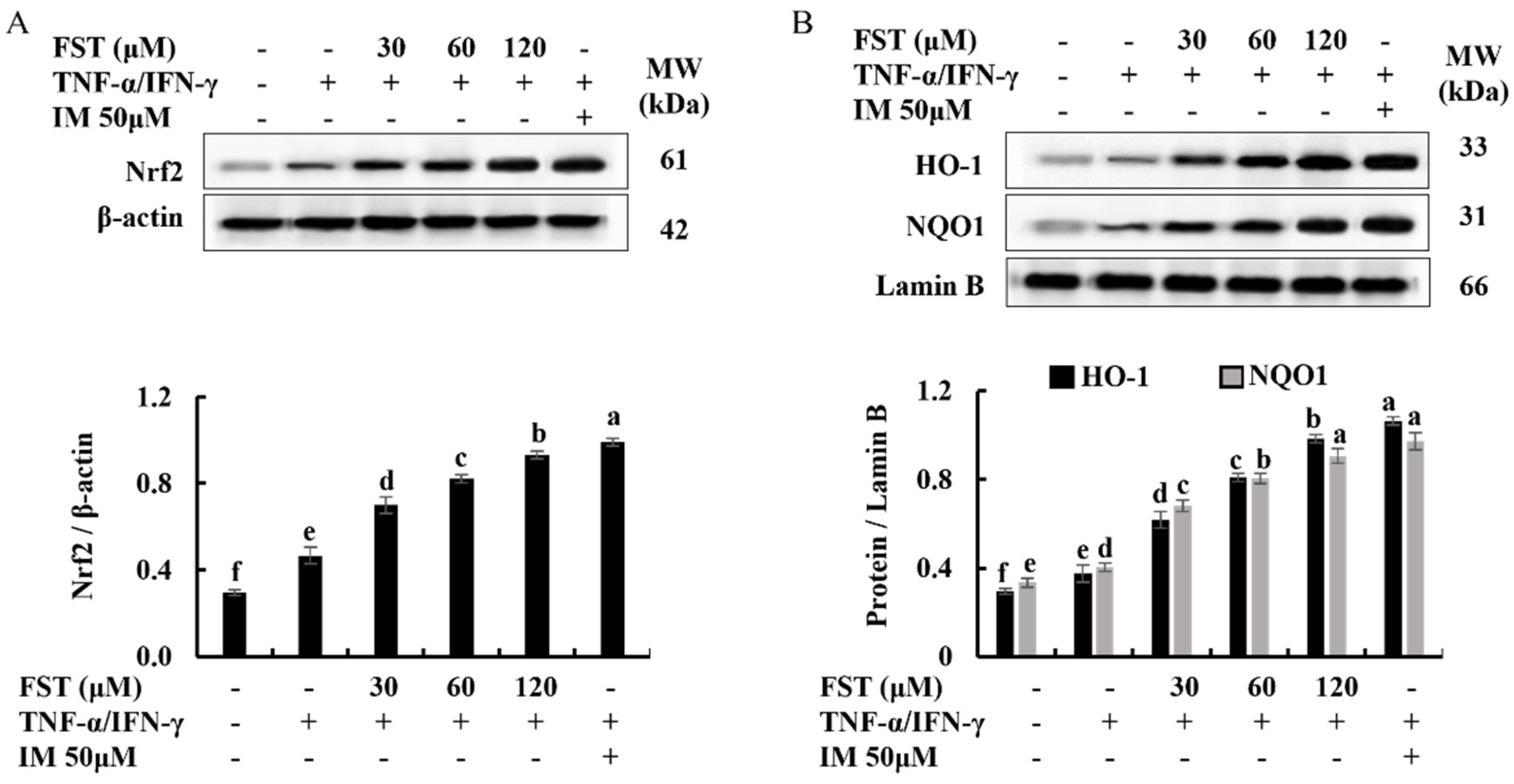 Antioxidants 11 01429 g003