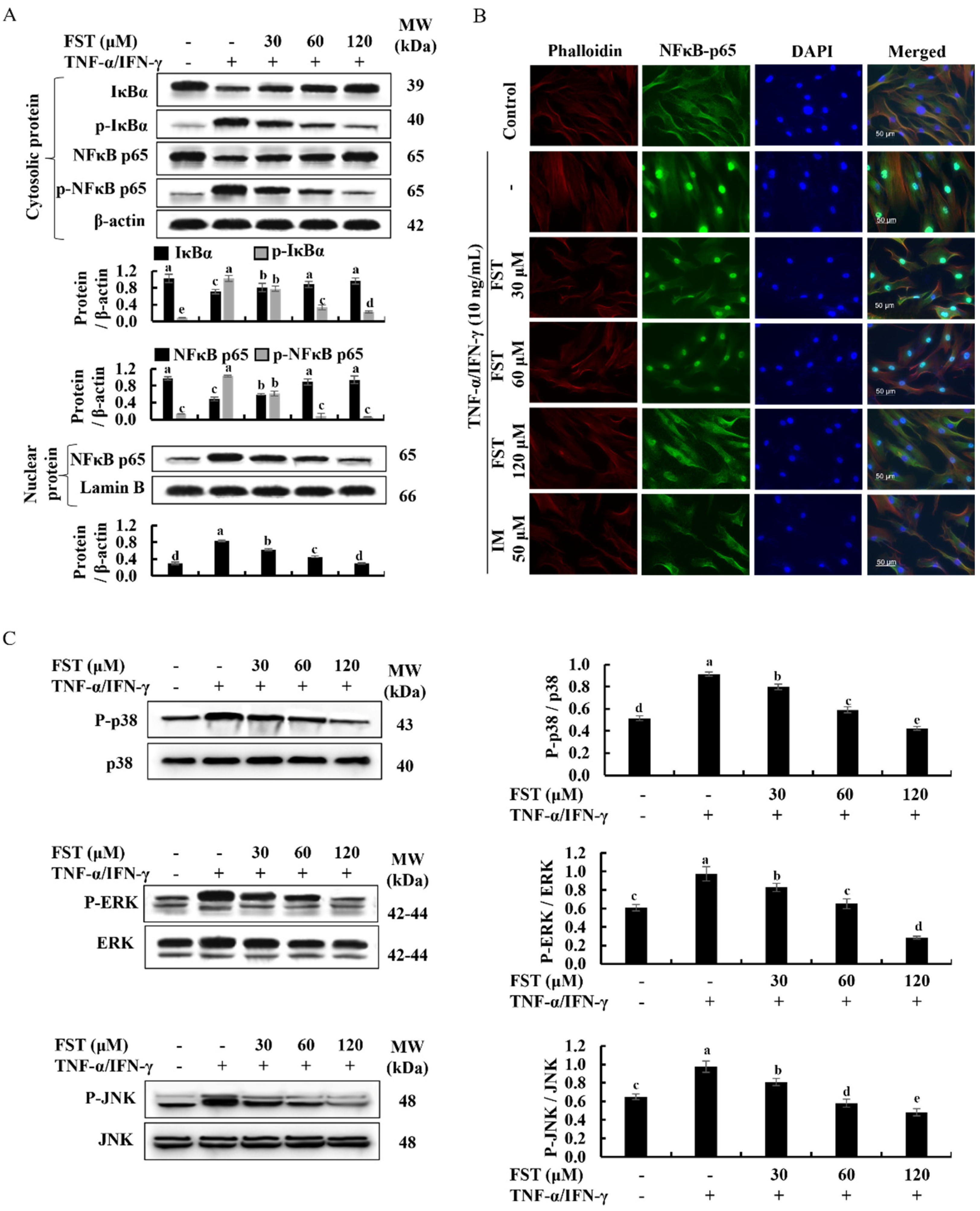 Antioxidants 11 01429 g005