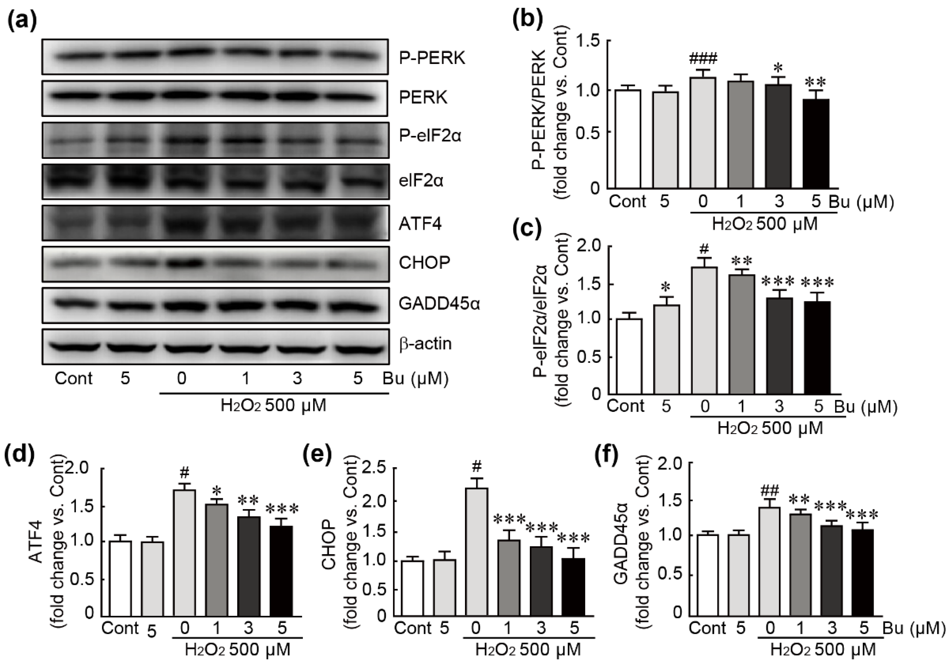 Antioxidants 11 01430 g006