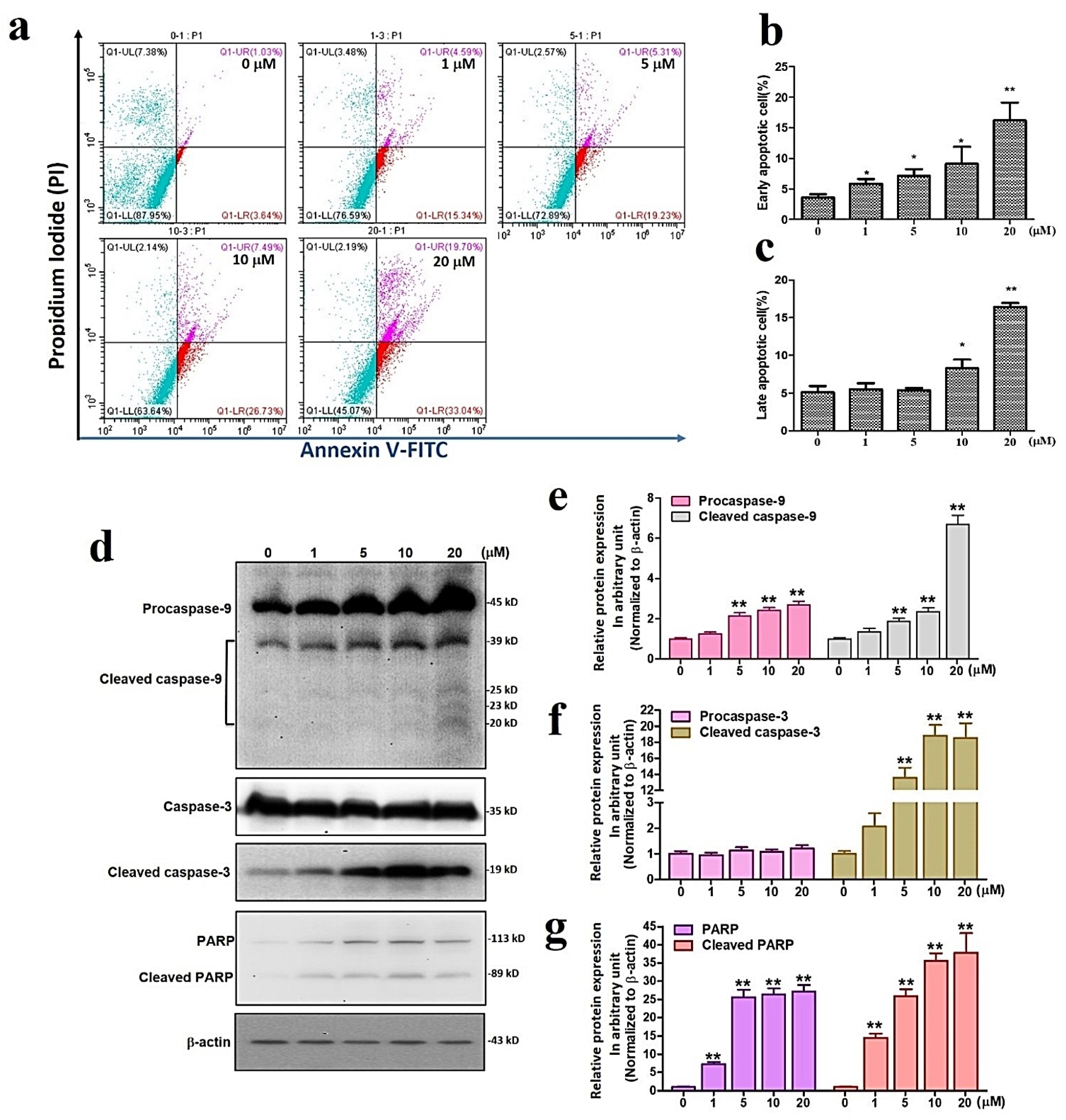 Antioxidants 11 01433 g002