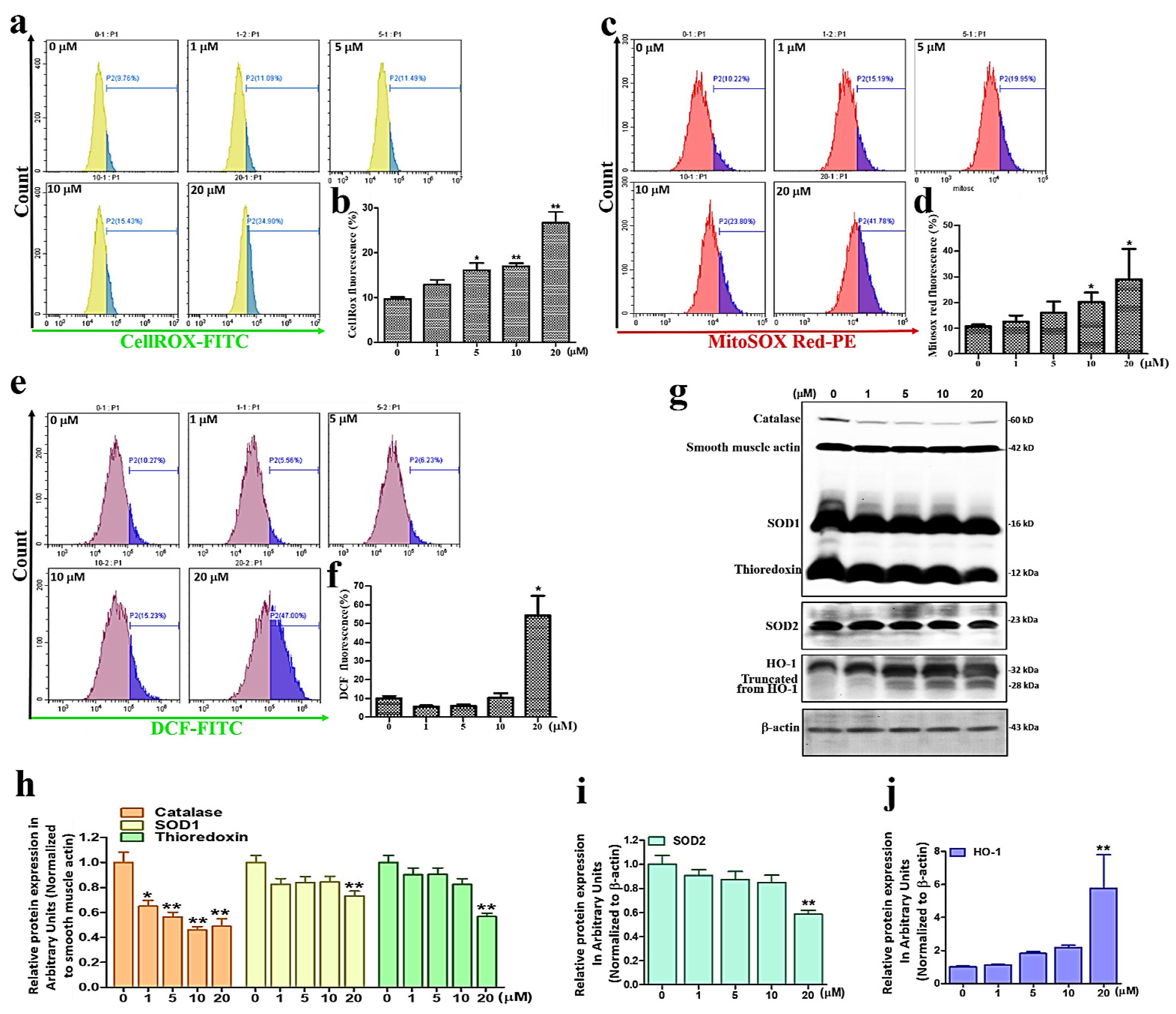 Antioxidants 11 01433 g003