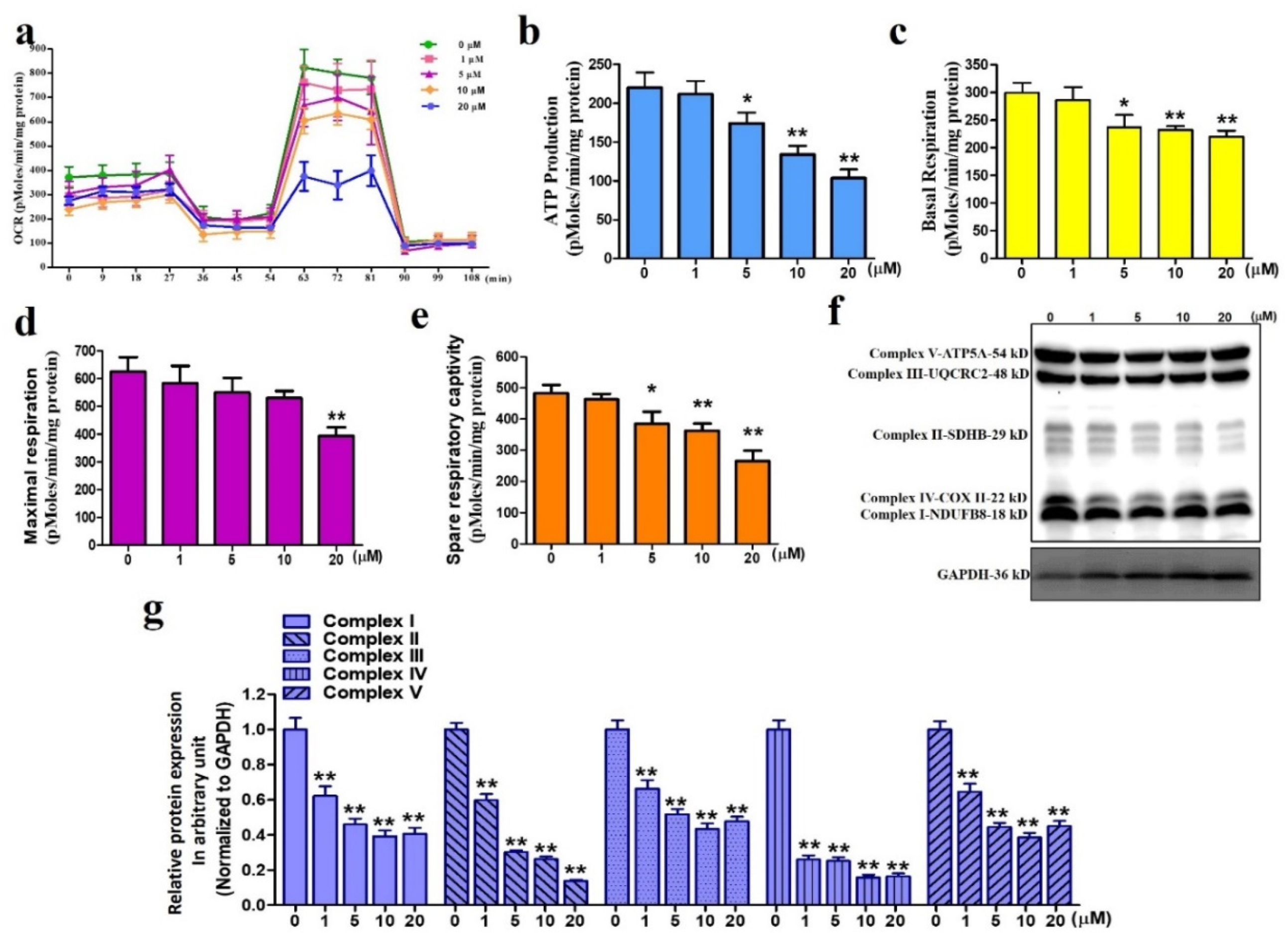 Antioxidants 11 01433 g004