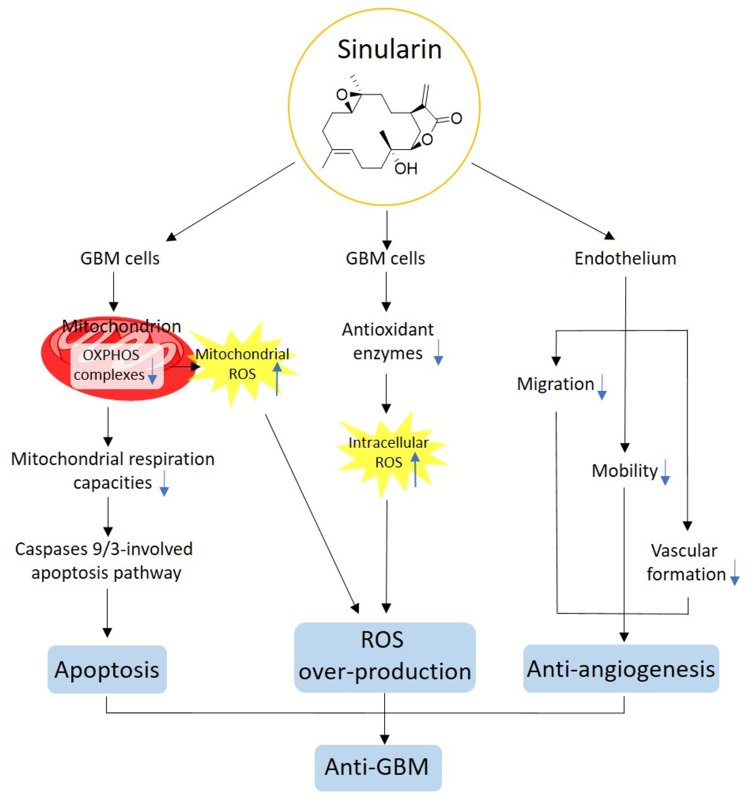Antioxidants 11 01433 g007