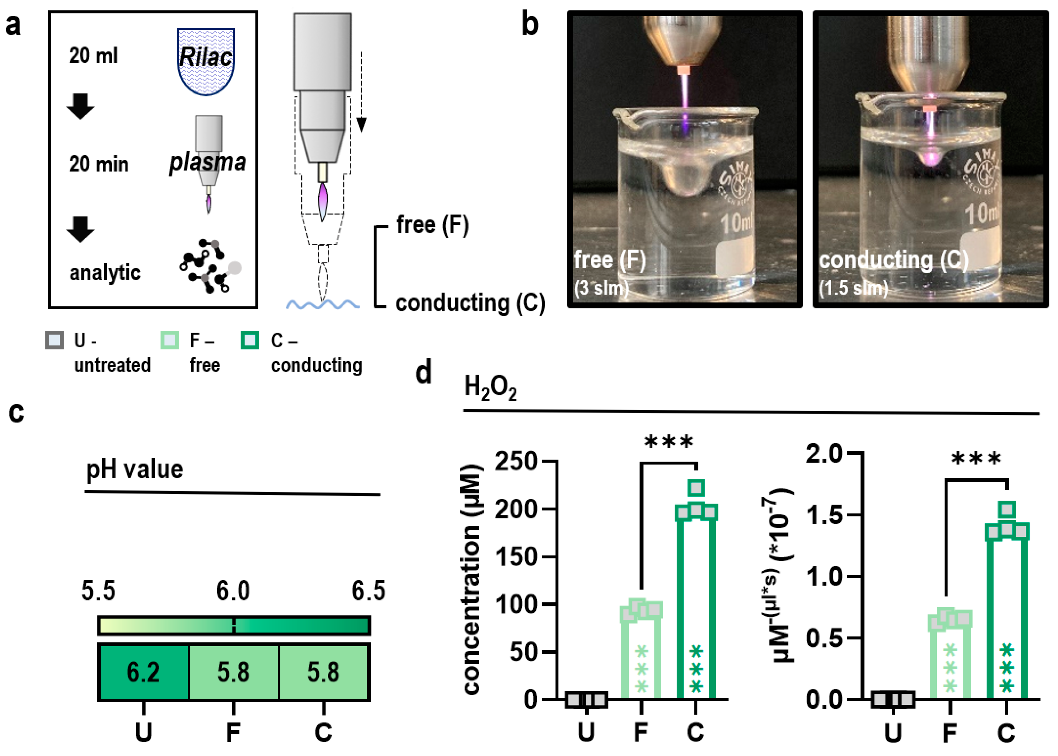 Antioxidants 11 01439 g001 550