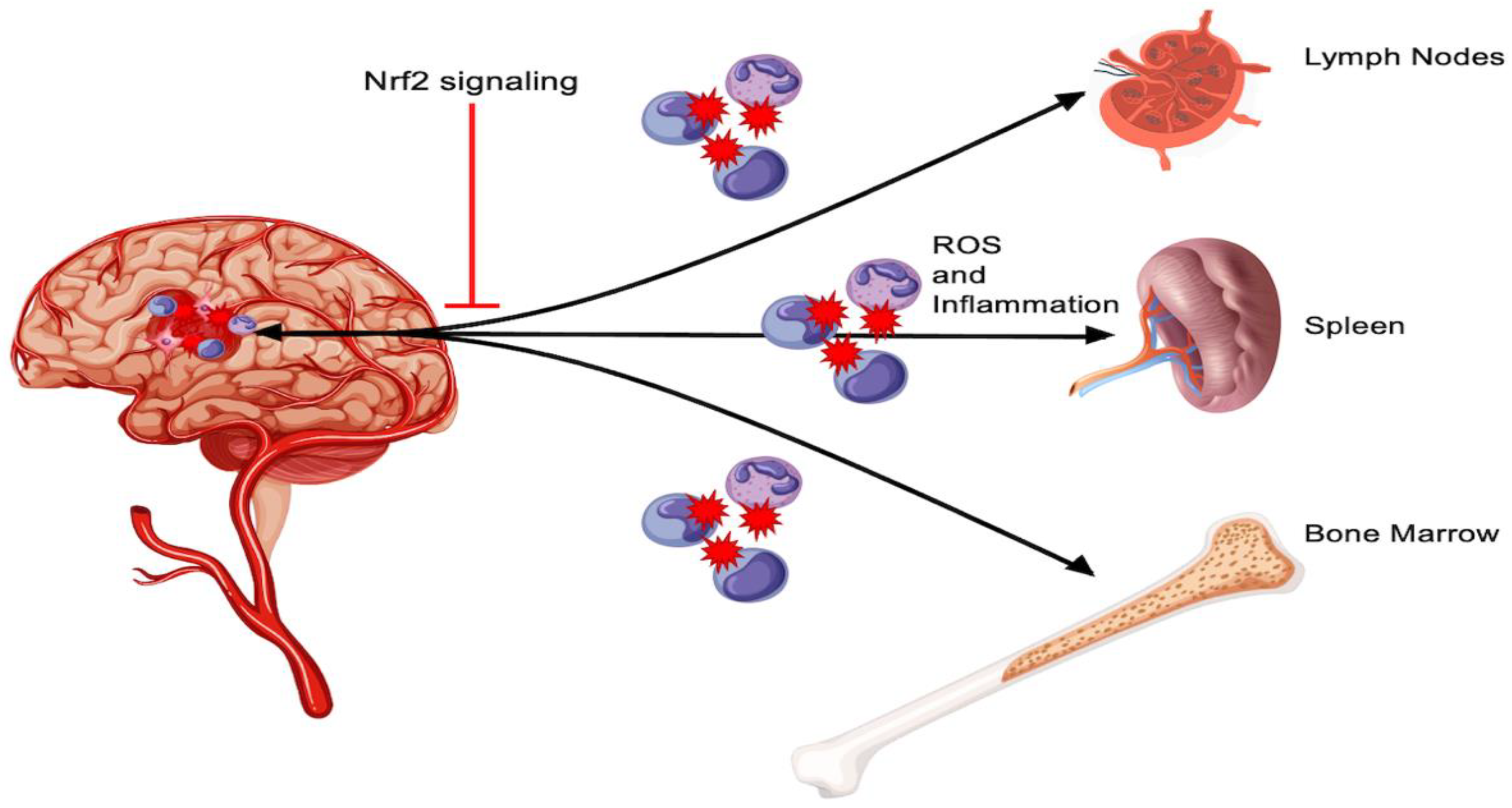 Antioxidants 11 01447 g002 550