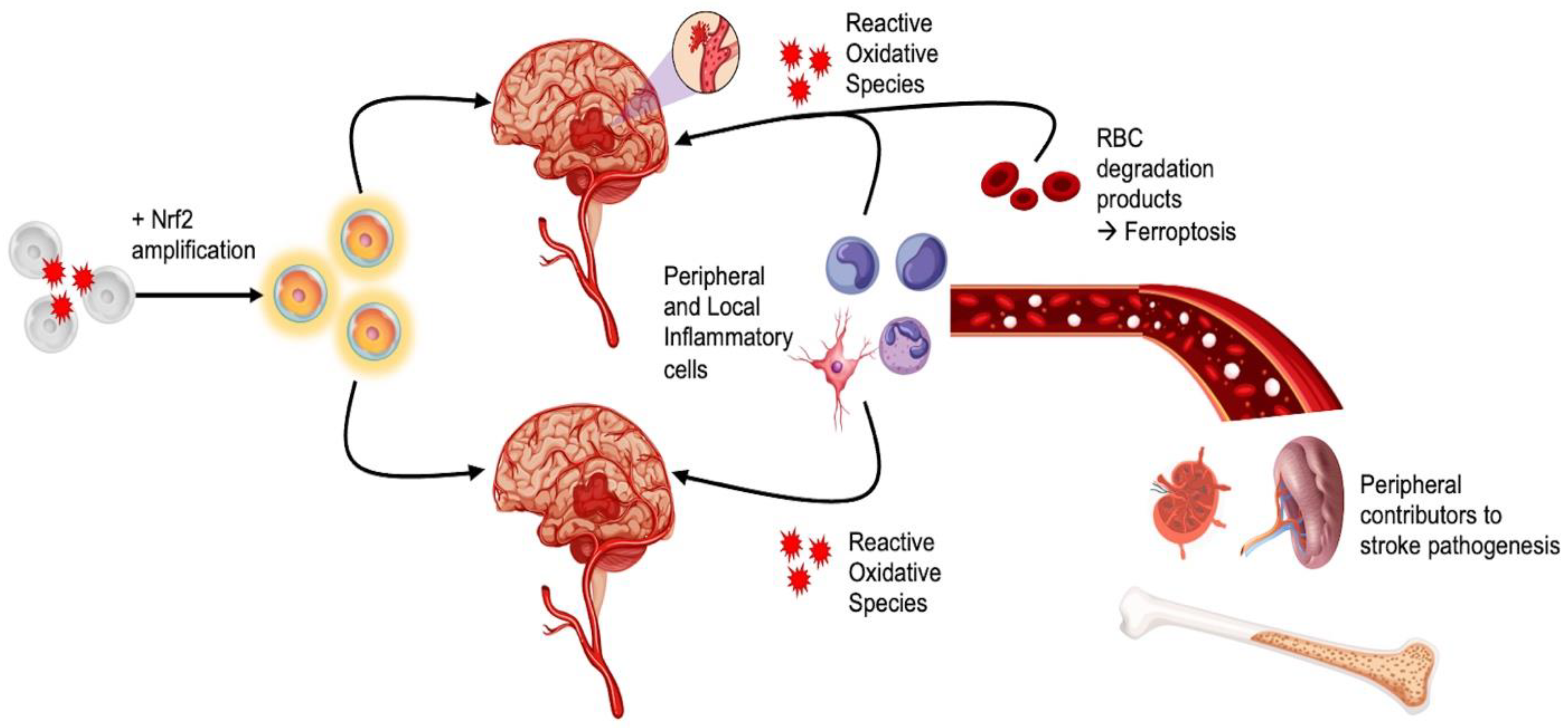 Antioxidants 11 01447 g003 550
