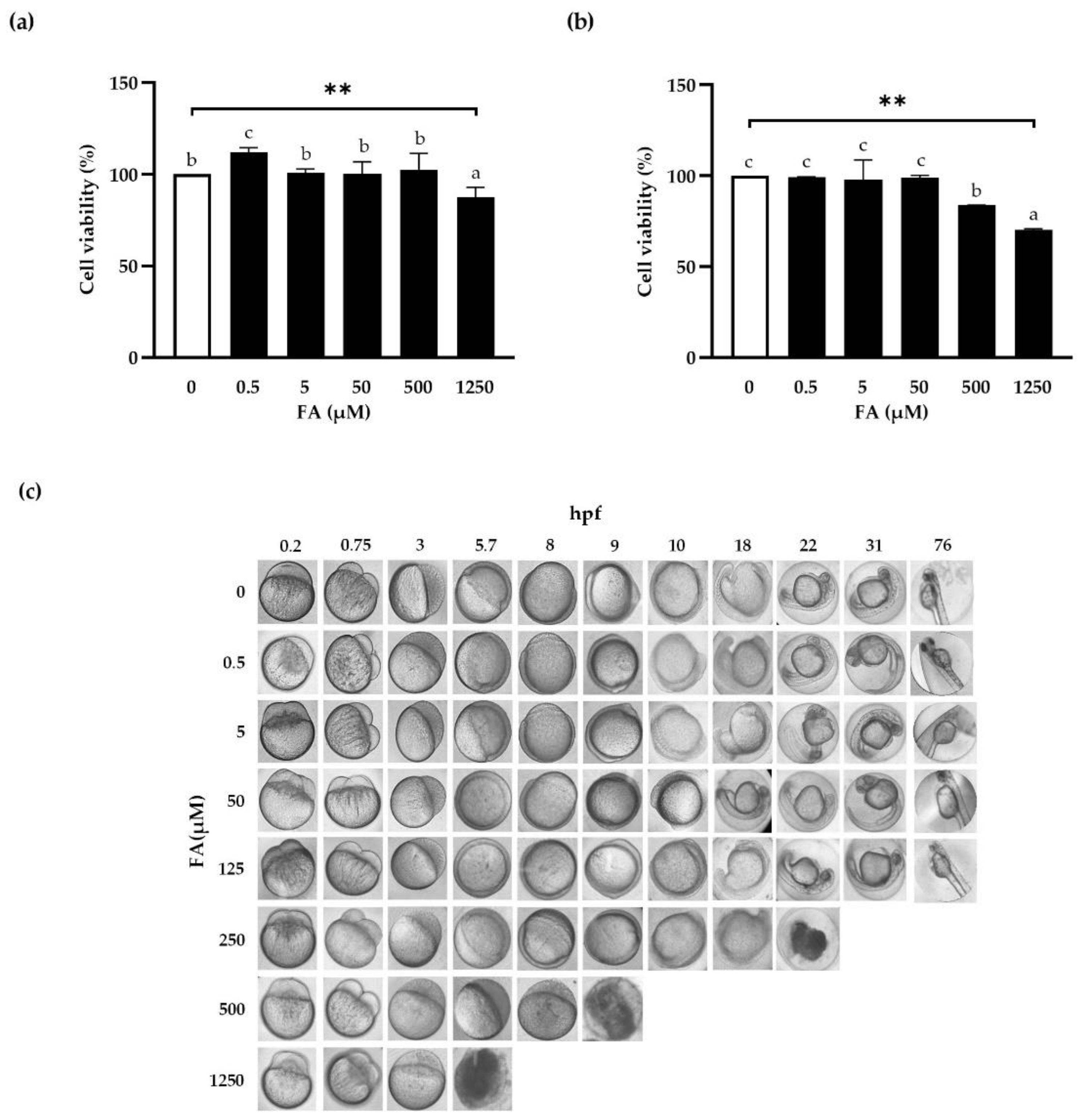 Antioxidants 11 01448 g001 Antioxidants 11 01448 g001