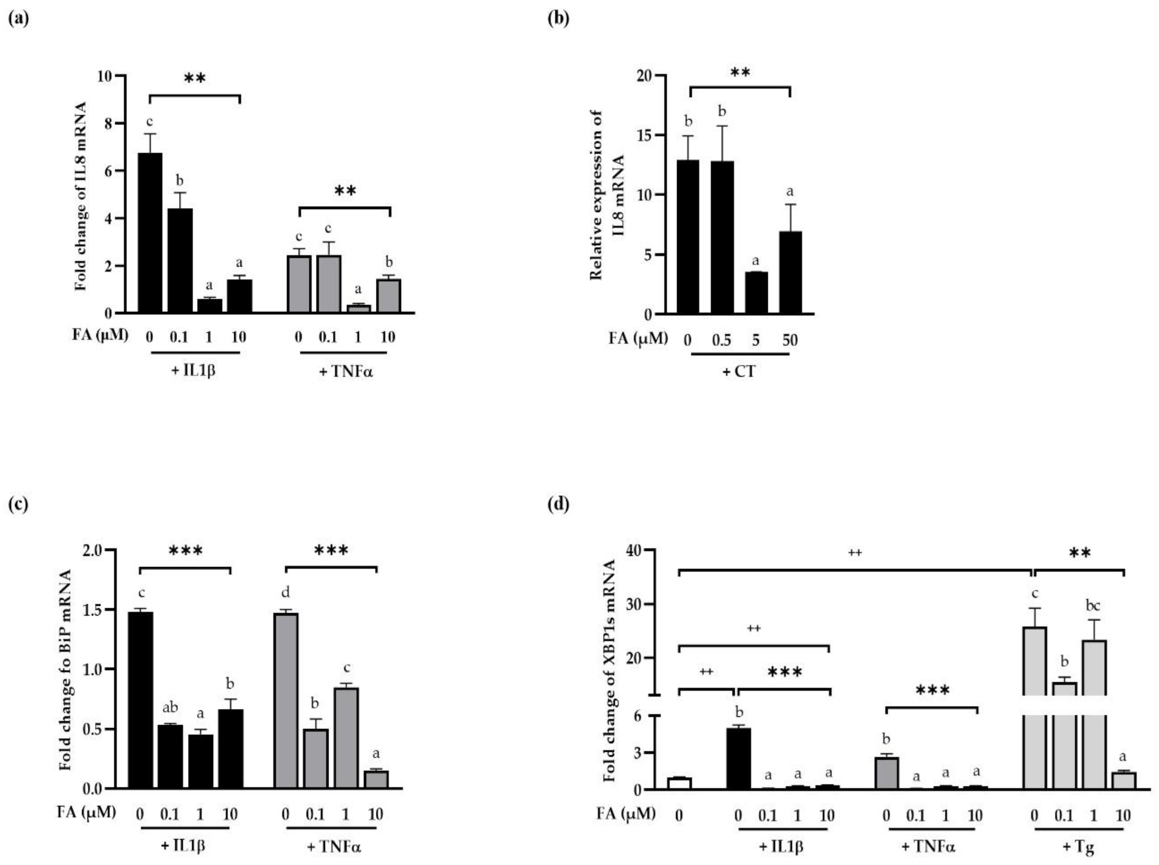Antioxidants 11 01448 g003 Antioxidants 11 01448 g003
