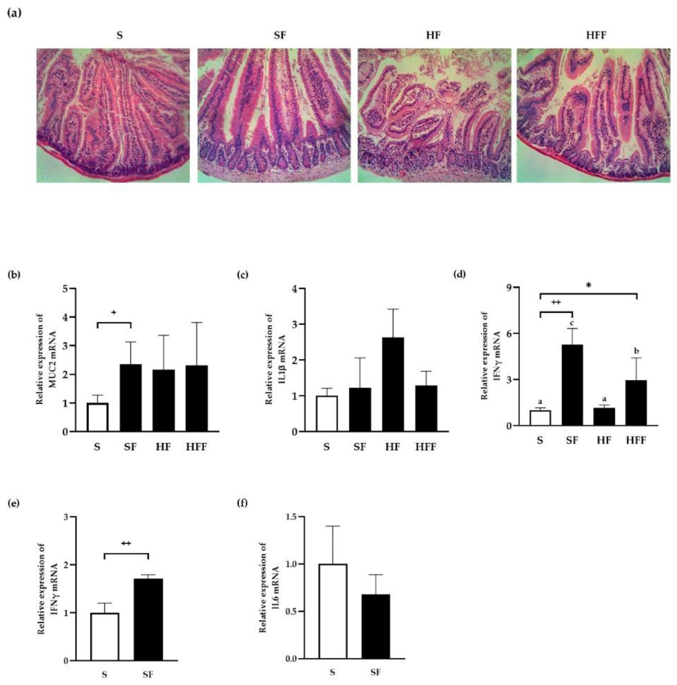 Antioxidants 11 01448 g005 Antioxidants 11 01448 g005