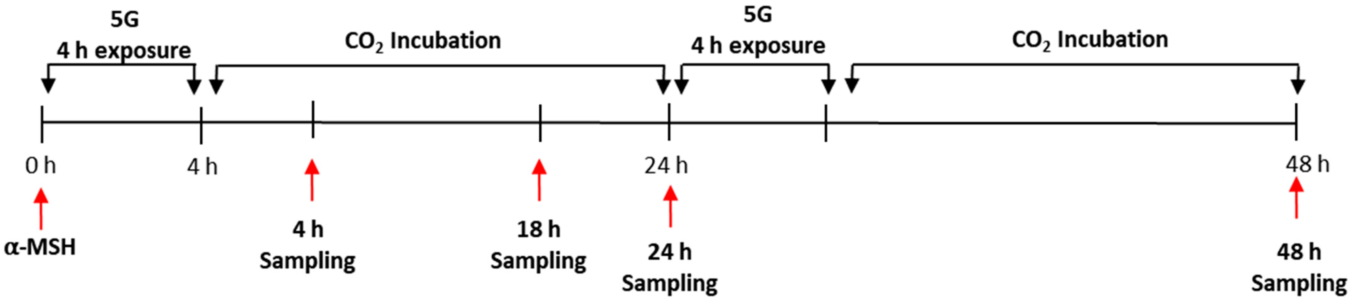 Antioxidants 11 01449 g001