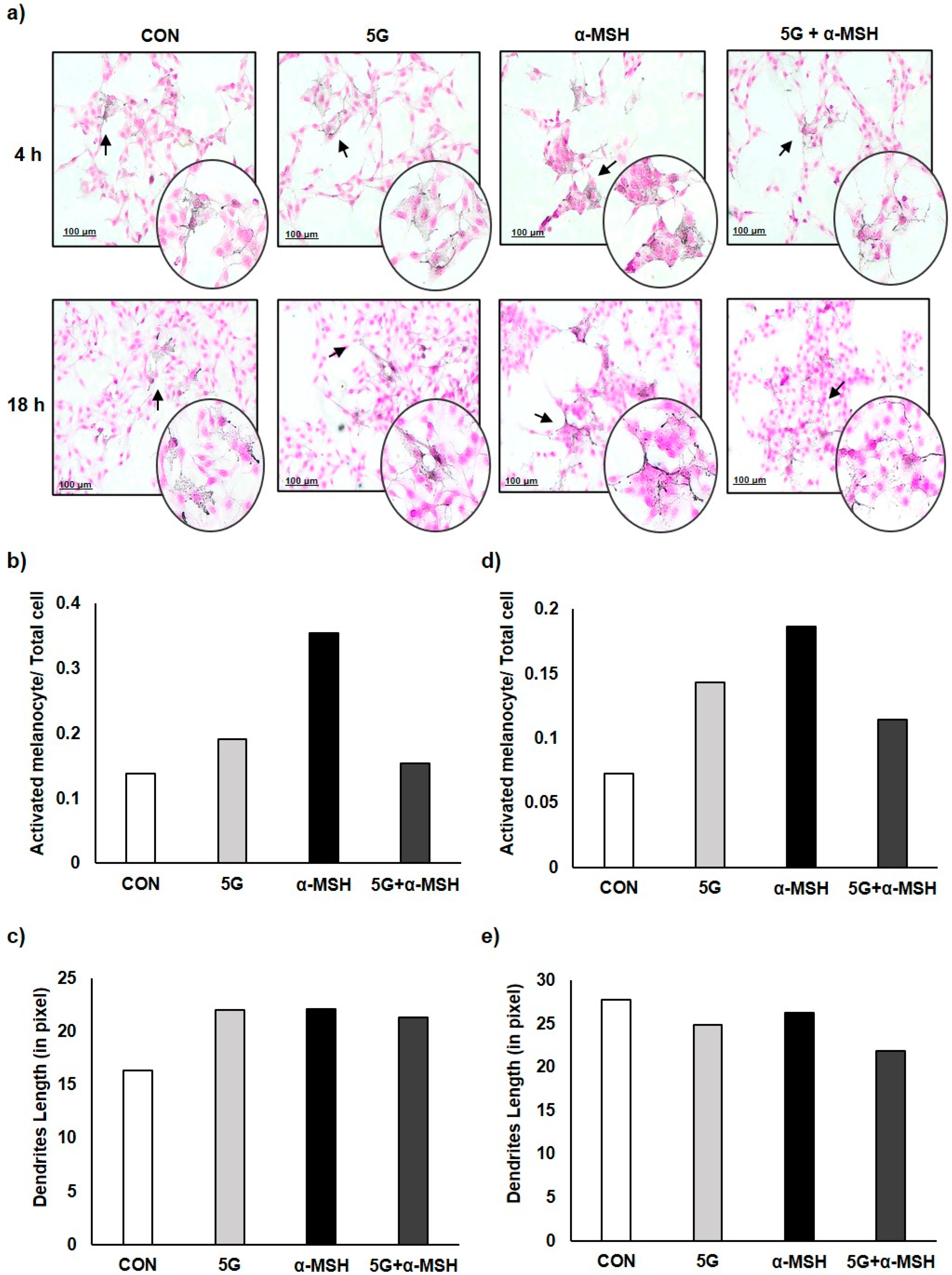 Antioxidants 11 01449 g003