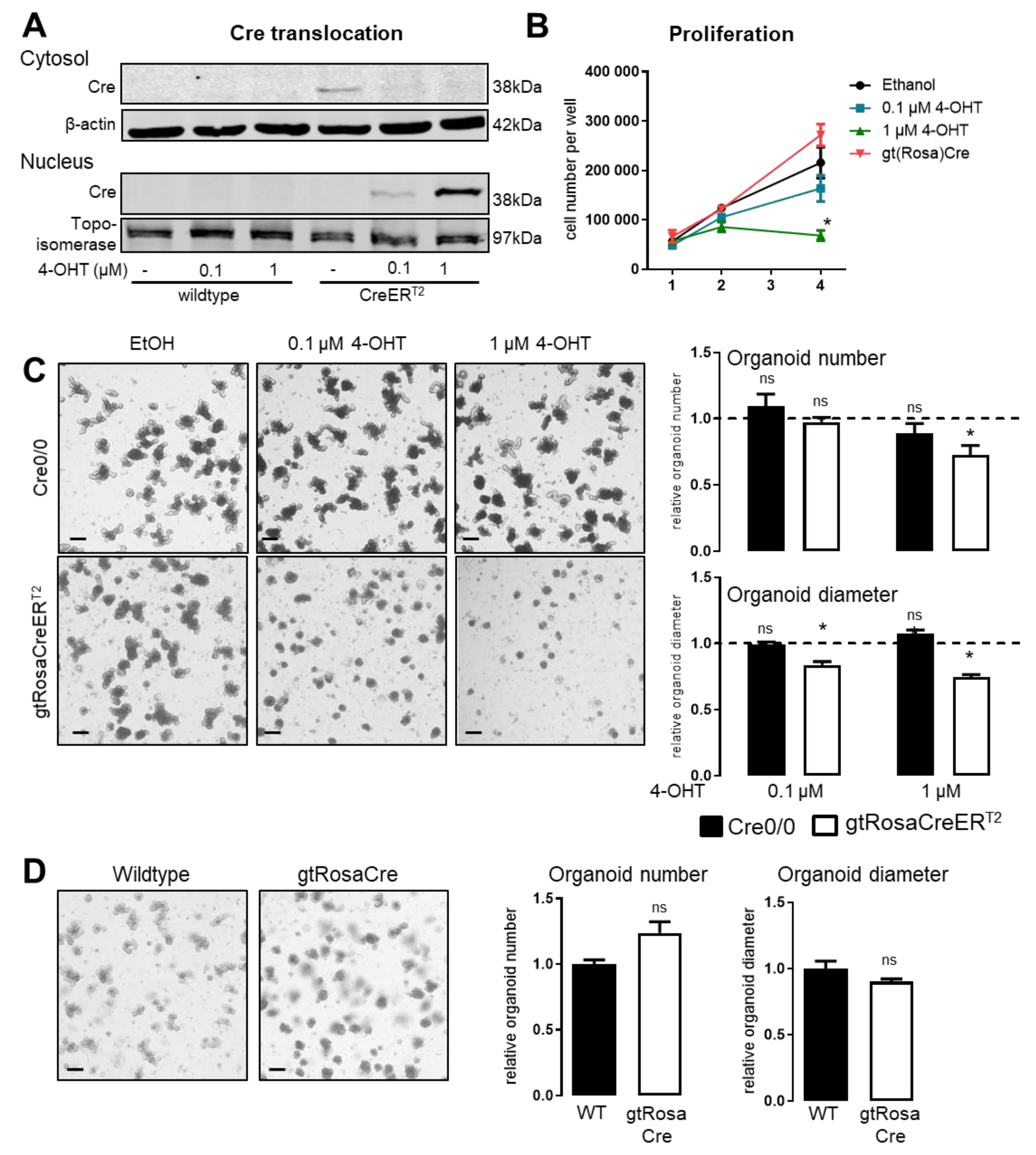 Antioxidants 11 01452 g001 550