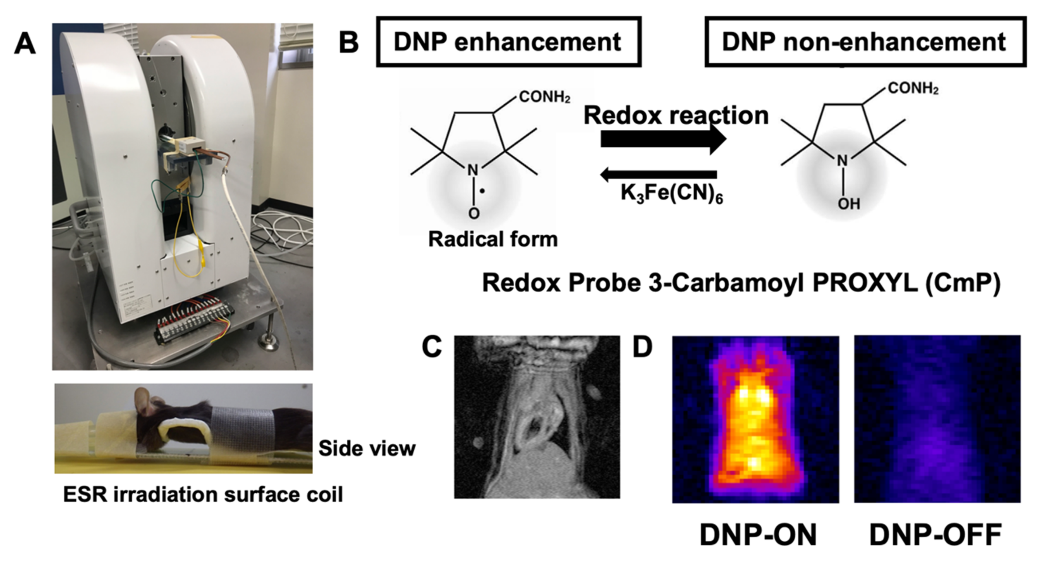 Antioxidants 11 01454 g001