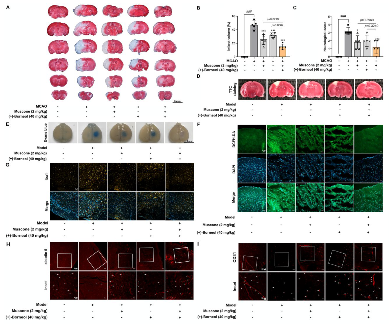 Antioxidants 11 01455 g001 550