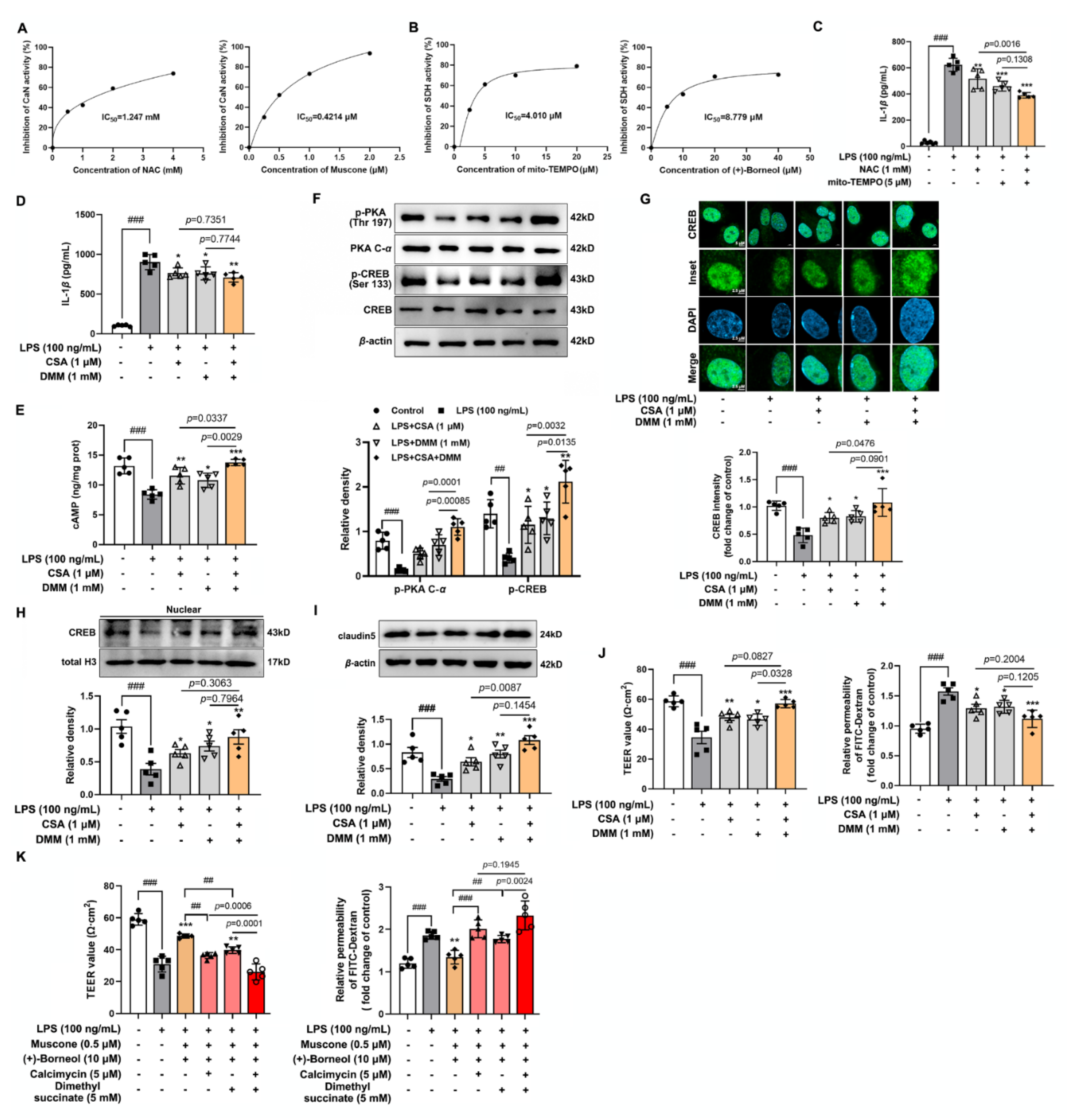 Antioxidants 11 01455 g007 550