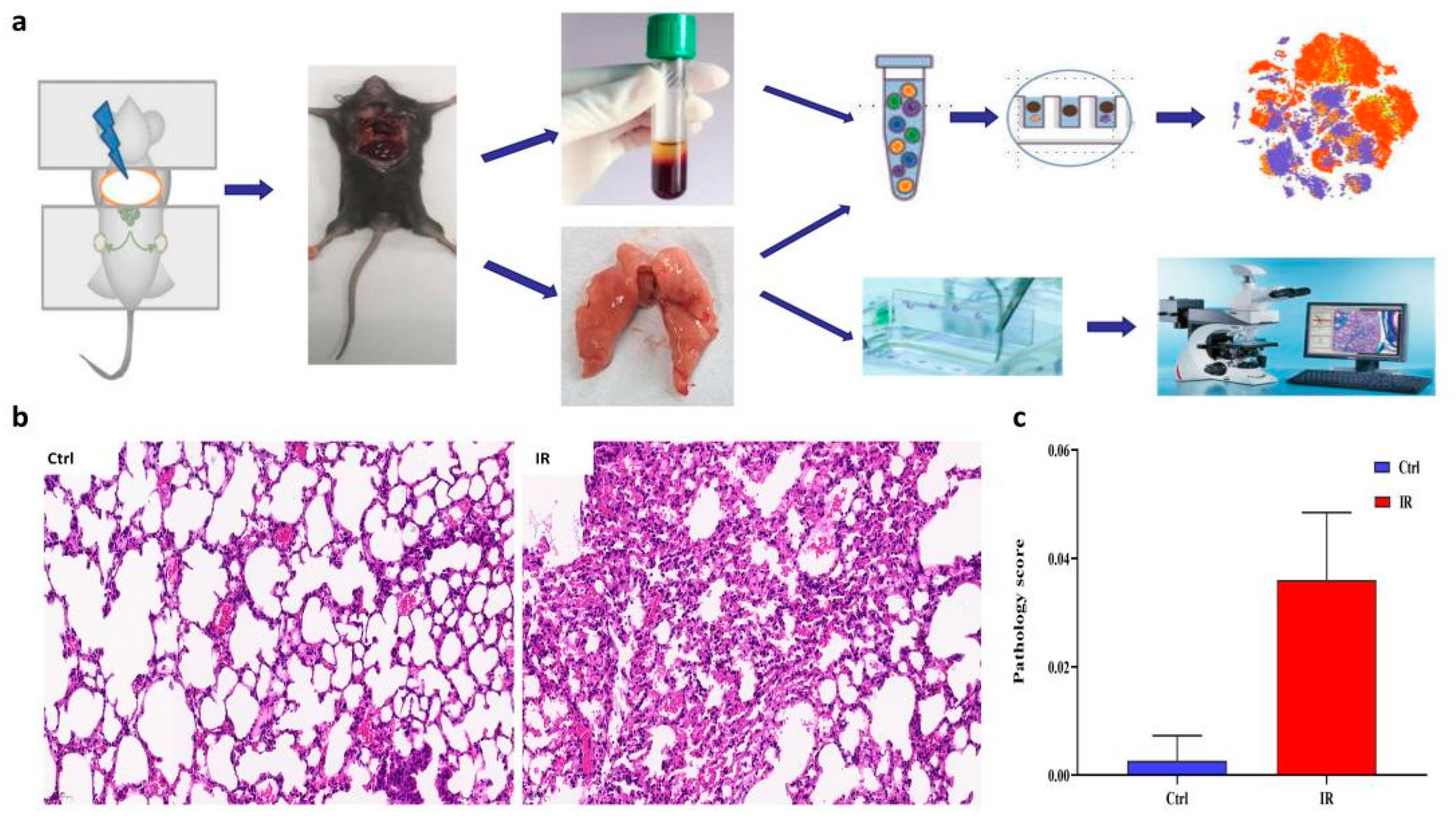Antioxidants 11 01457 g001 550