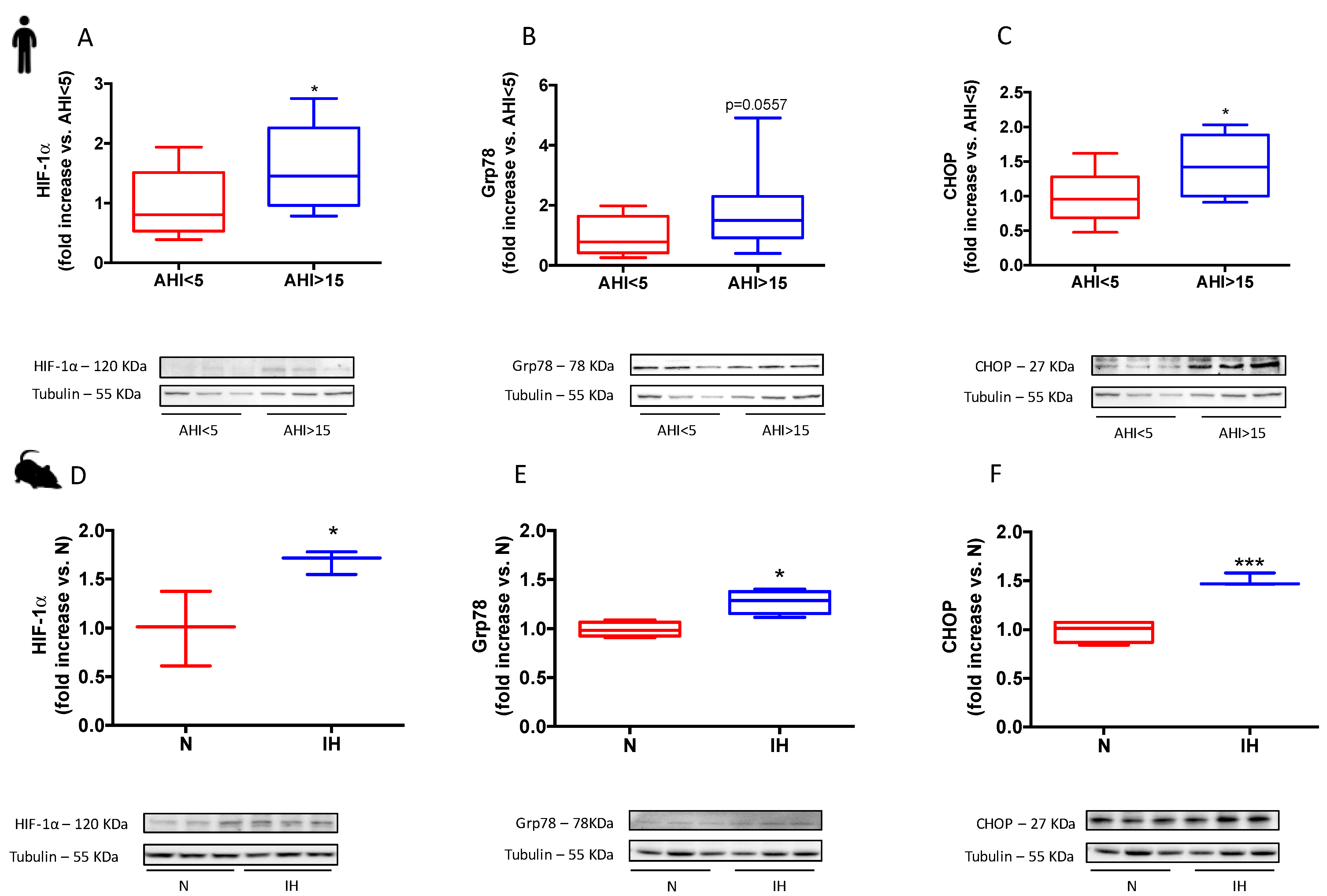 Antioxidants 11 01462 g002 Antioxidants 11 01462 g002