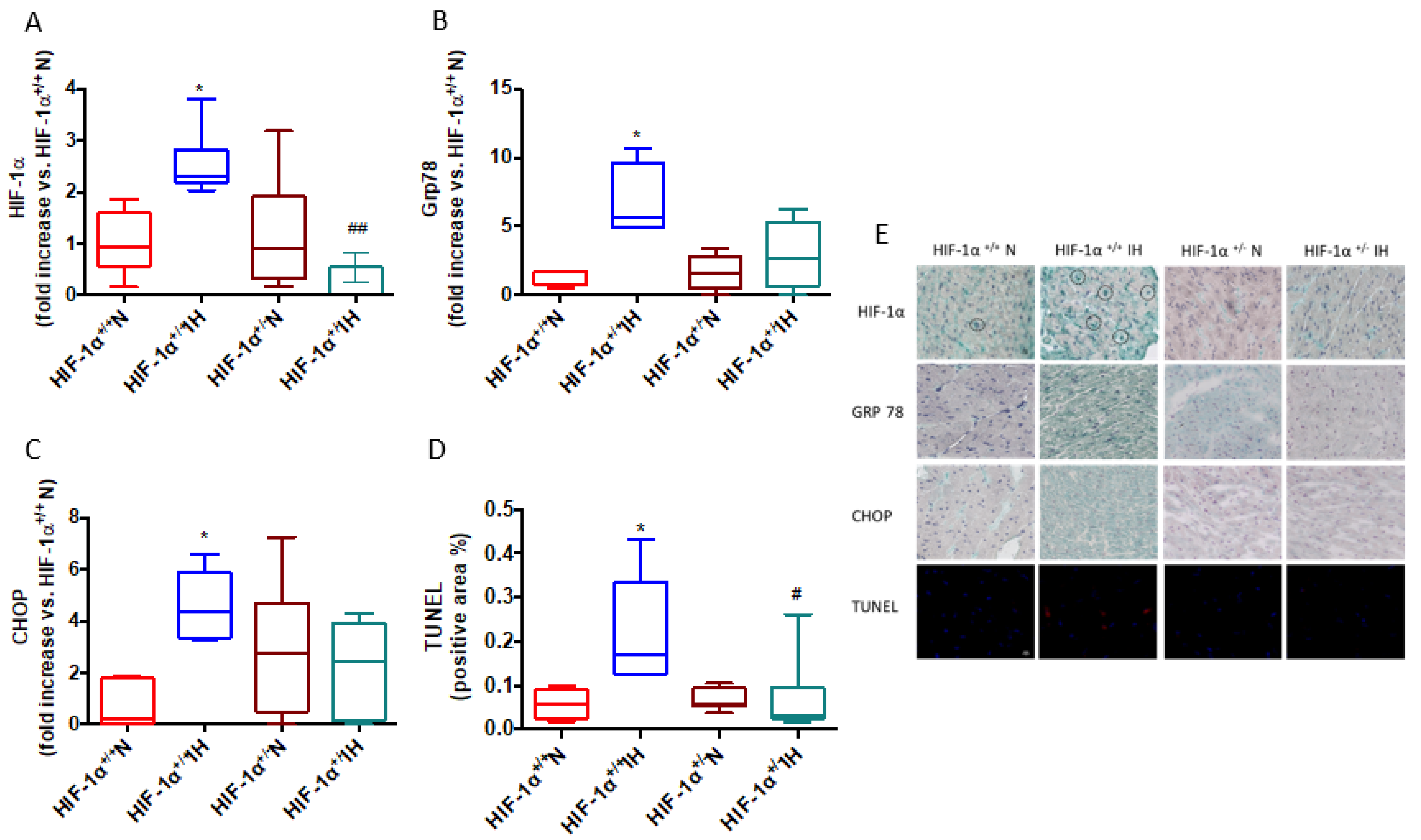 Antioxidants 11 01462 g003 Antioxidants 11 01462 g003
