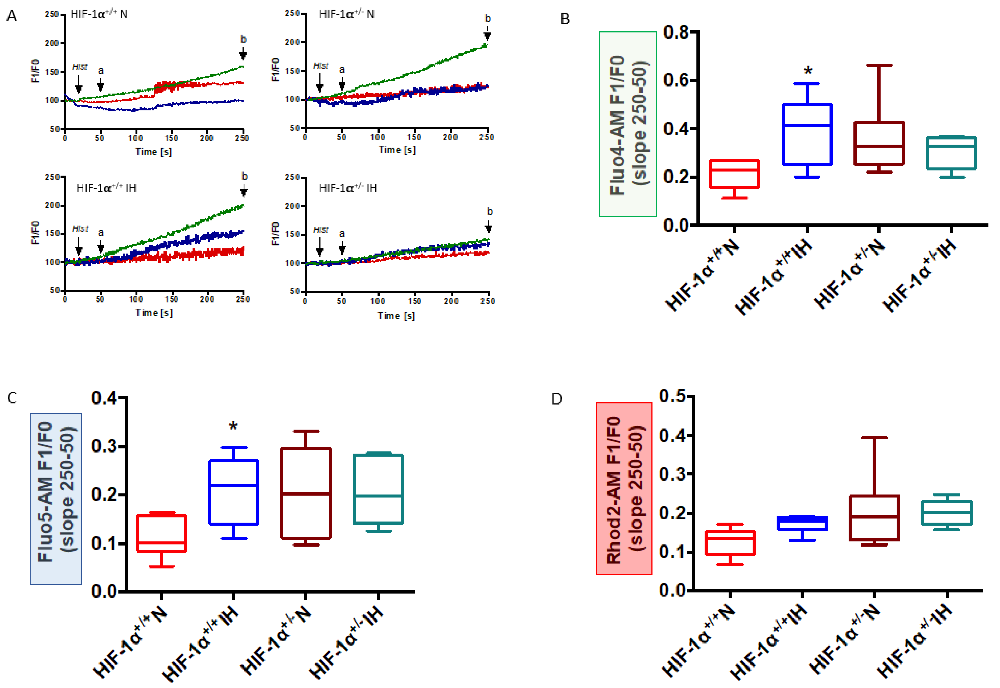Antioxidants 11 01462 g005 Antioxidants 11 01462 g005