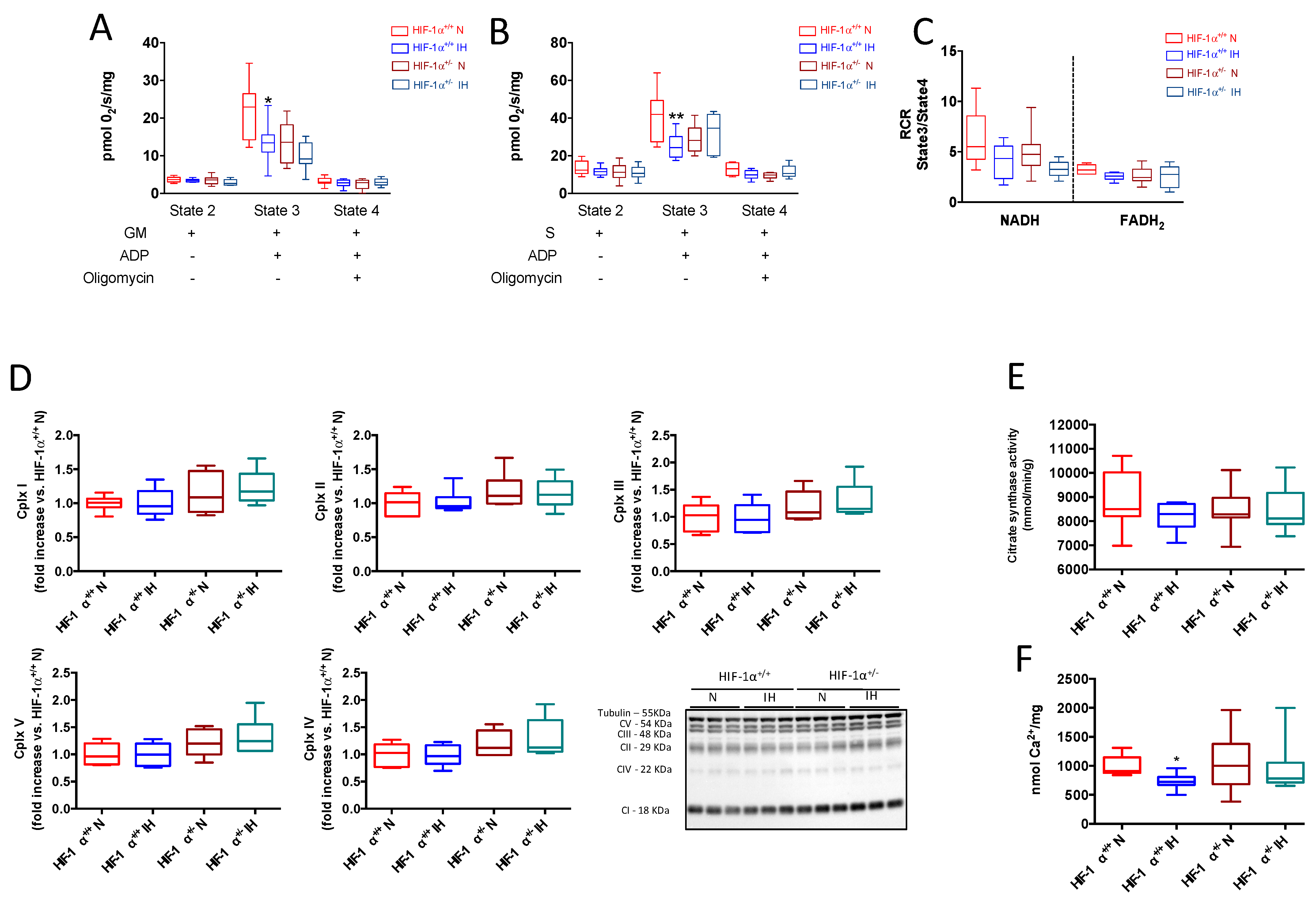 Antioxidants 11 01462 g006 Antioxidants 11 01462 g006
