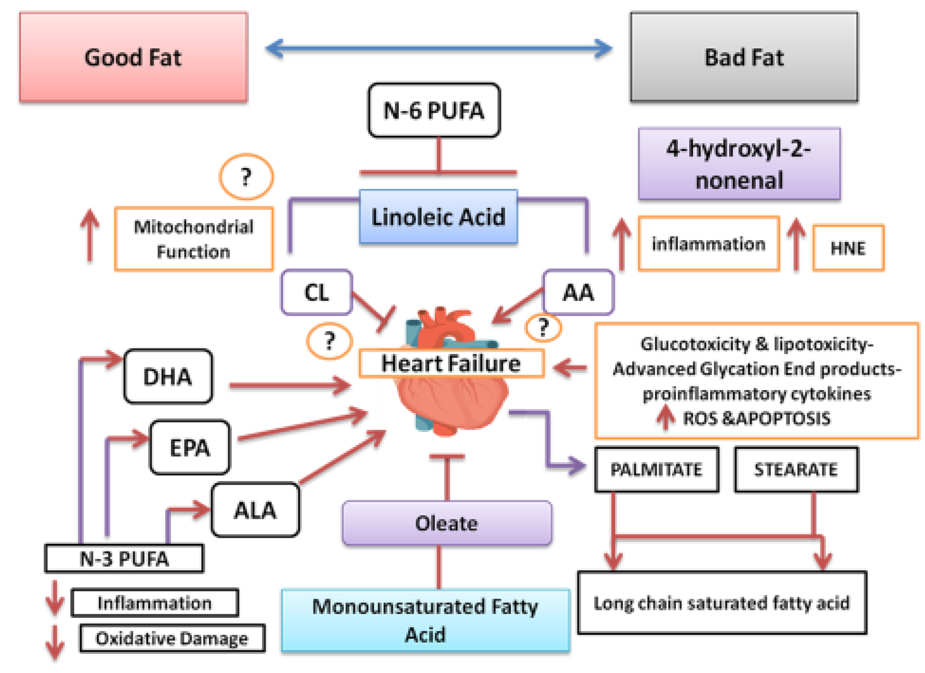 Antioxidants 11 01464 g004
