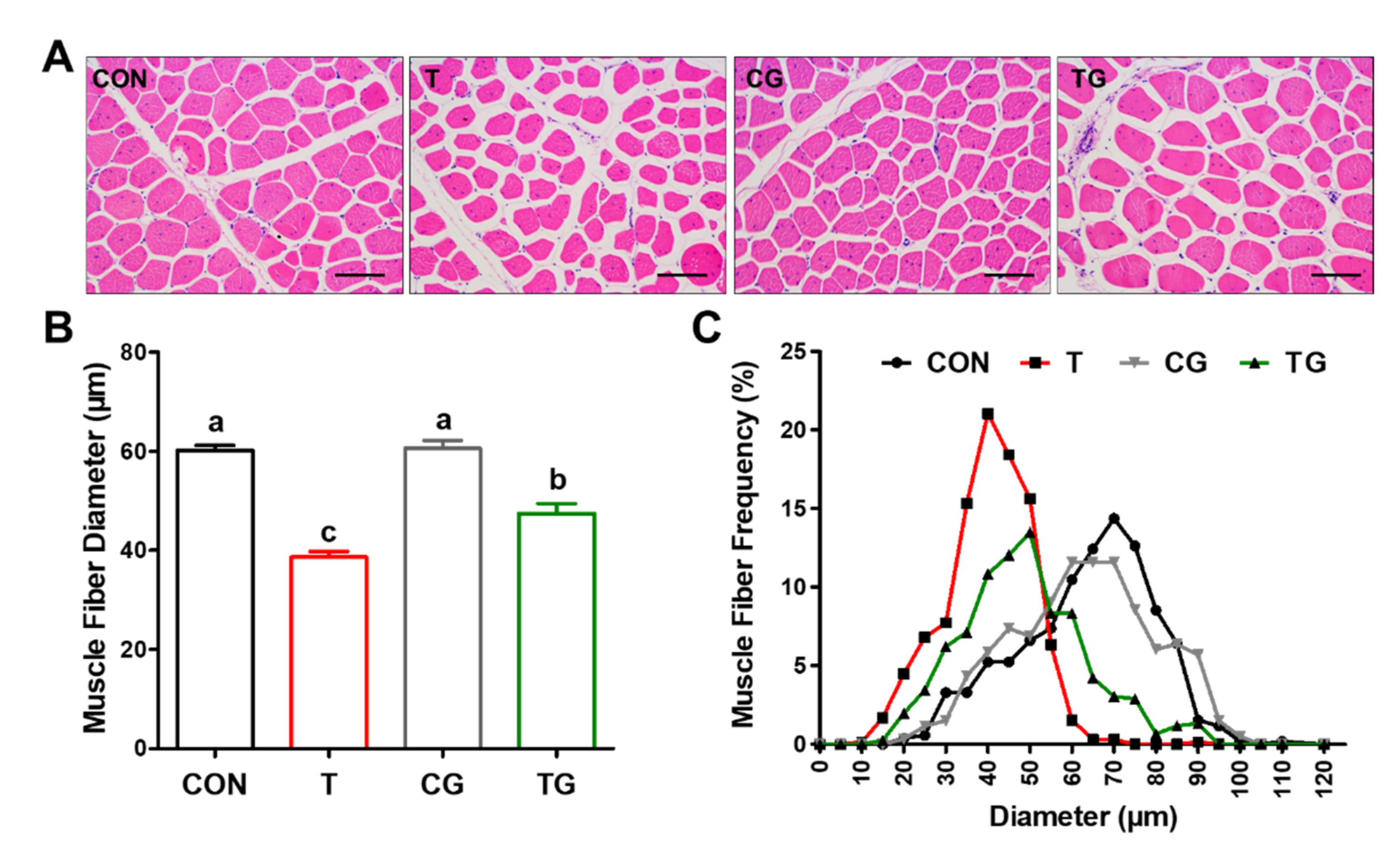 Antioxidants 11 01468 g002