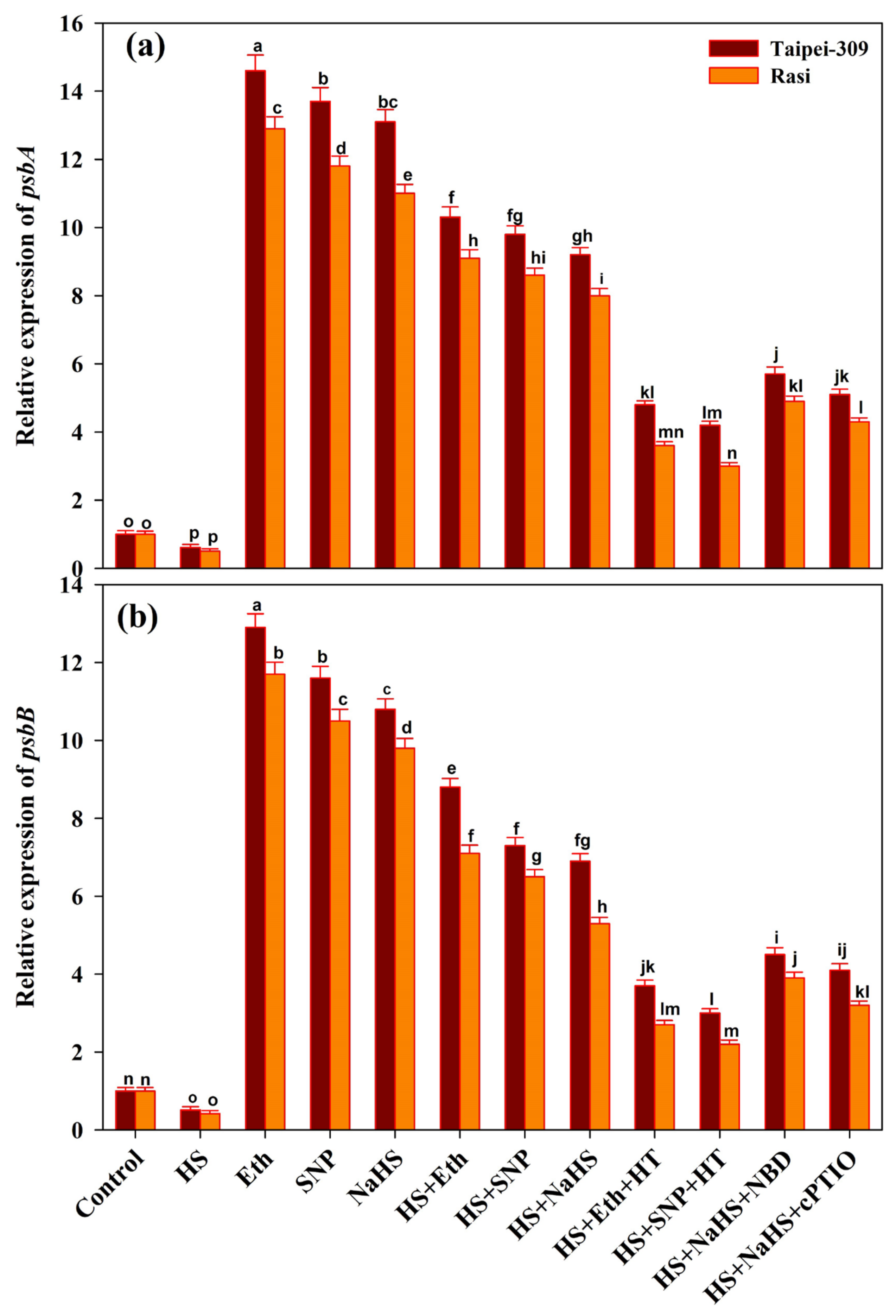Antioxidants | Free Full-Text | Hydrogen Sulfide, Ethylene, and Nitric Oxide Regulate Redox Homeostasis and Protect Photosynthetic Metabolism under High Temperature Stress in Rice Plants Antioxidants | Free Full-Text | Hydrogen Sulfide, Ethylene, and Nitric Oxide Regulate Redox Homeostasis and Protect Photosynthetic Metabolism under High Temperature Stress in Rice Plants