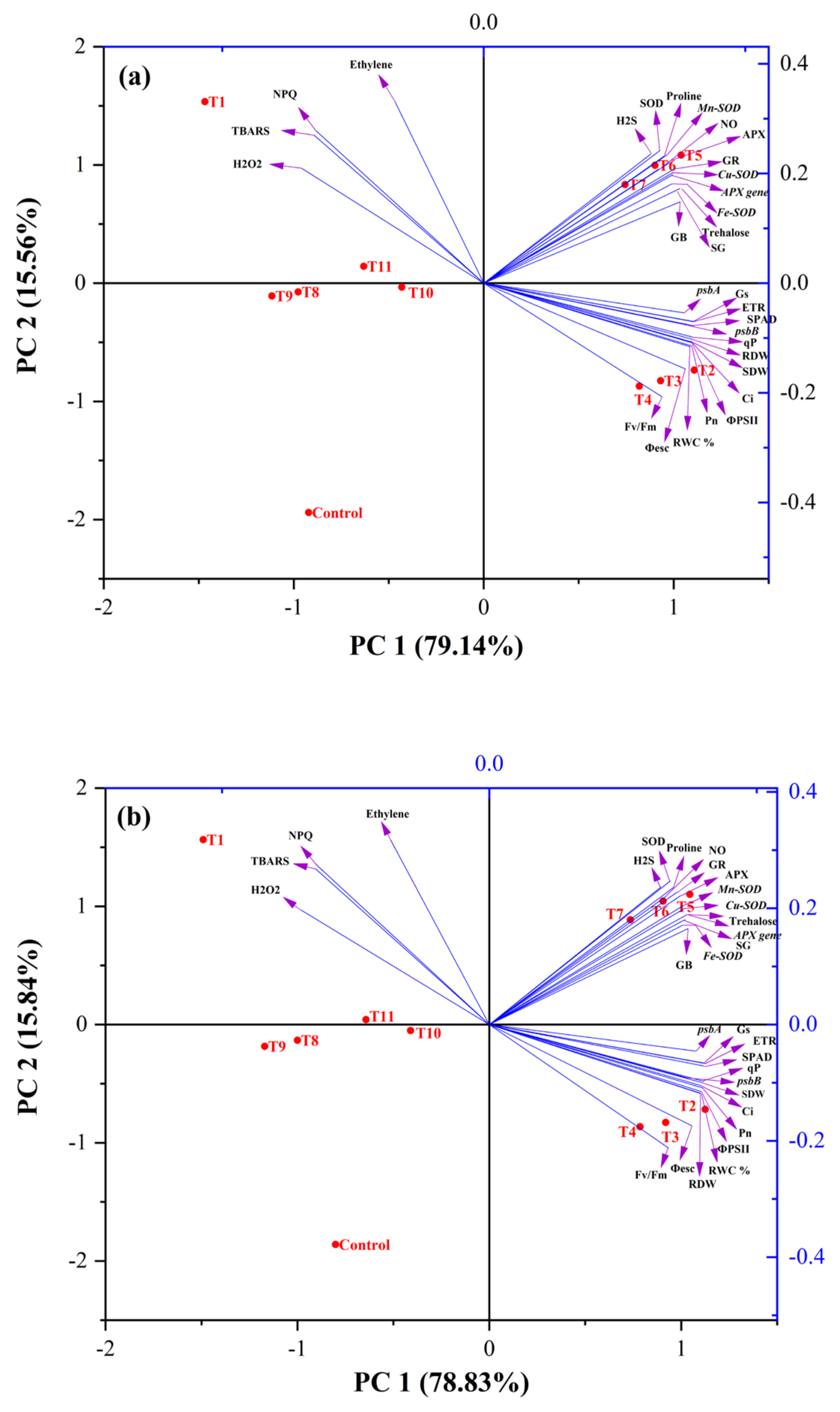 Antioxidants 11 01478 g006 550