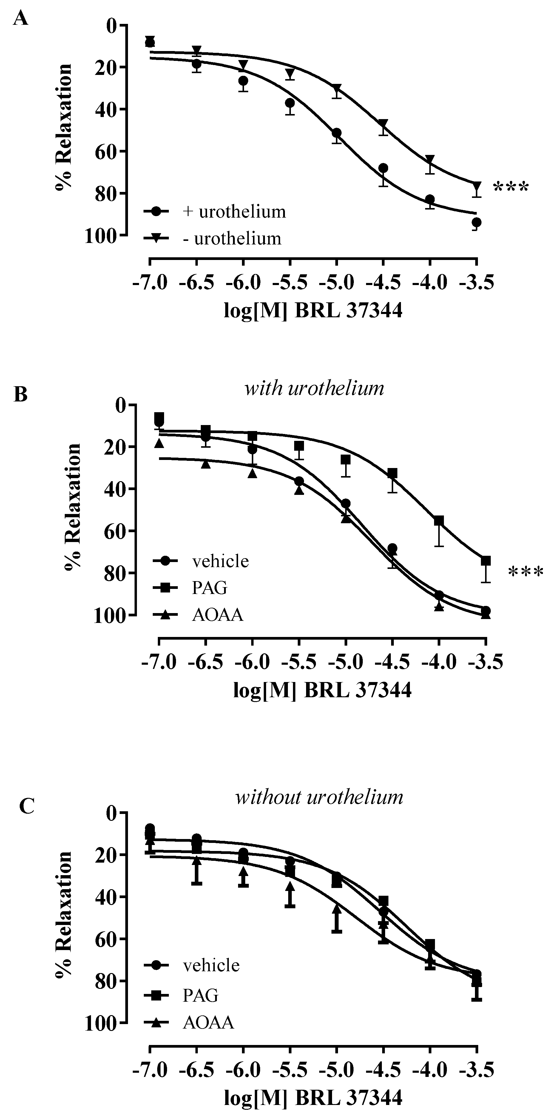 Antioxidants 11 01480 g002 Antioxidants 11 01480 g002