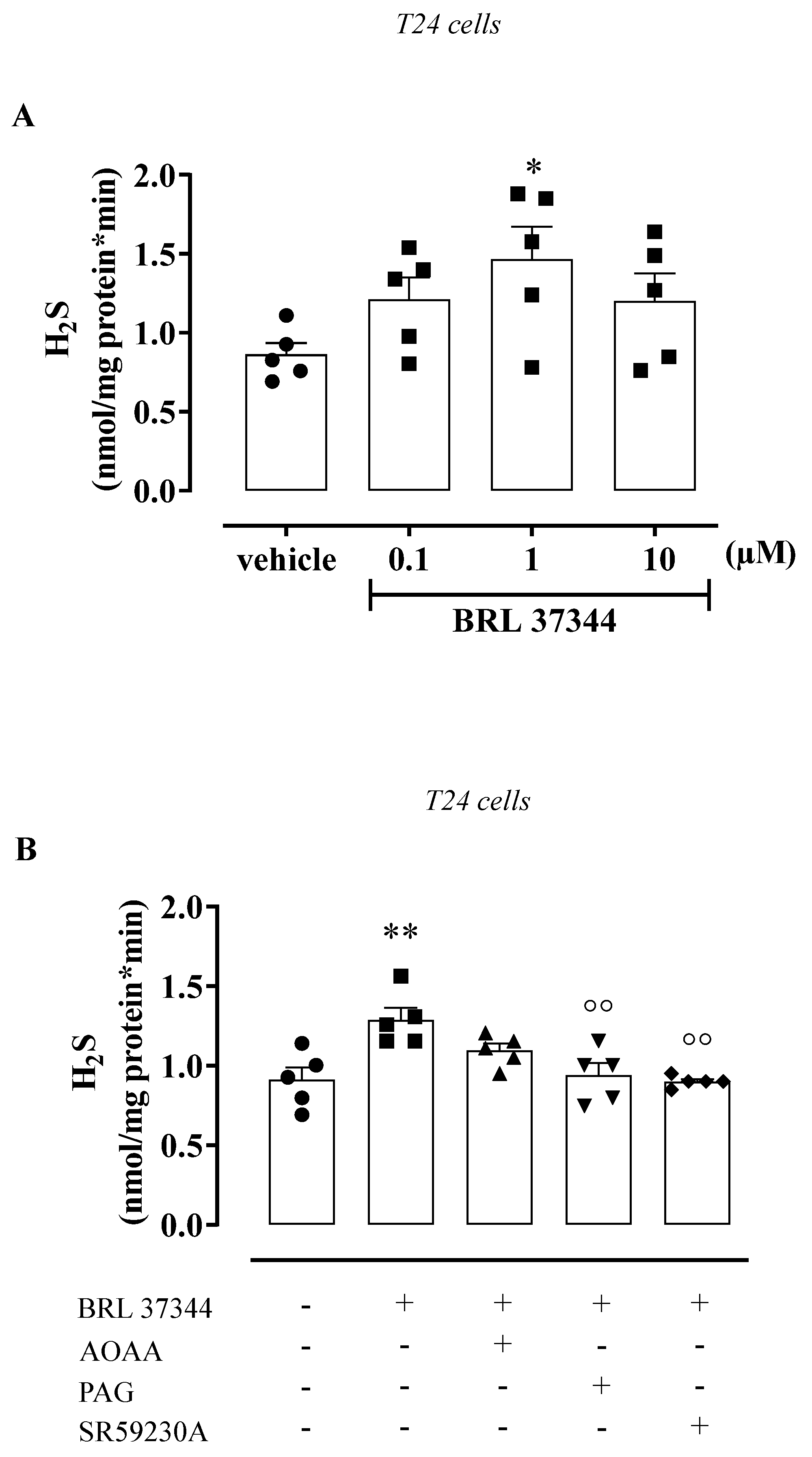 Antioxidants 11 01480 g004 Antioxidants 11 01480 g004