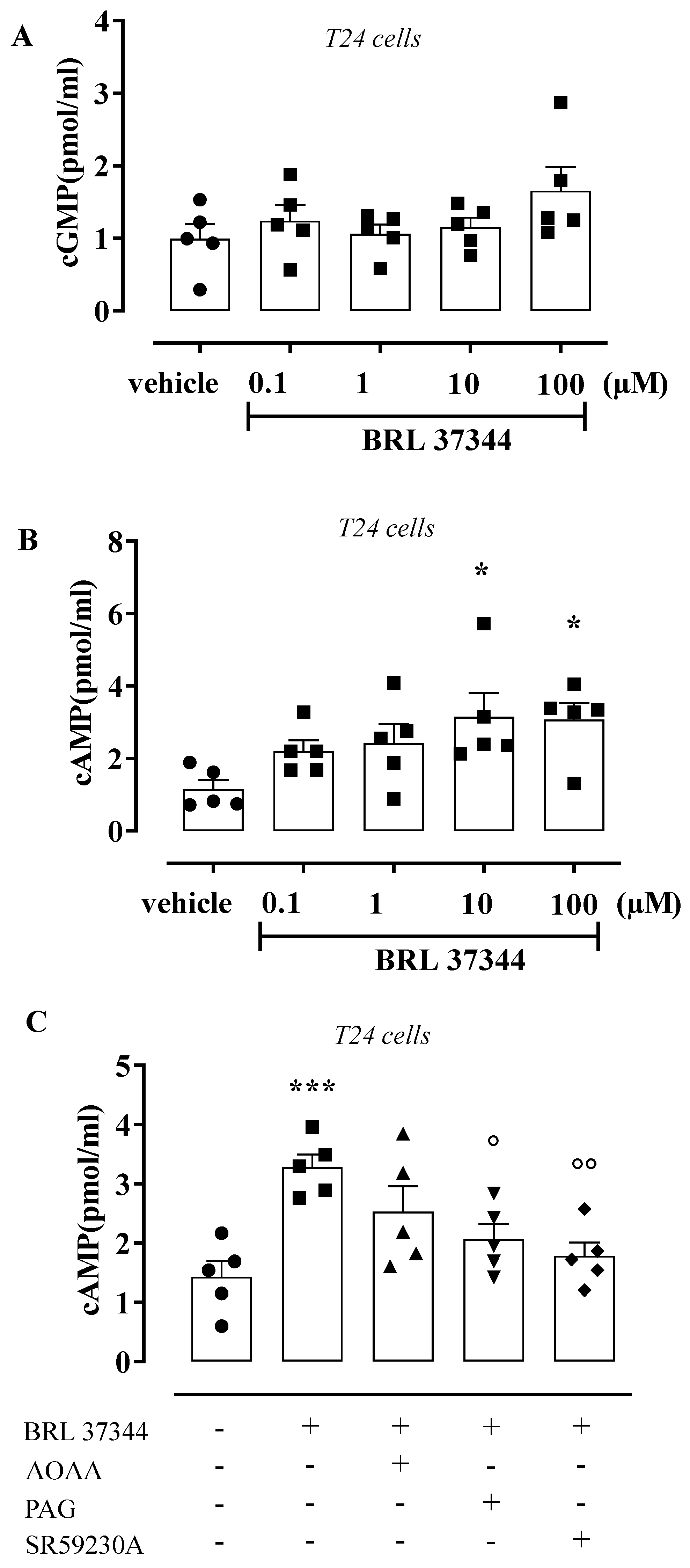 Antioxidants 11 01480 g005 Antioxidants 11 01480 g005