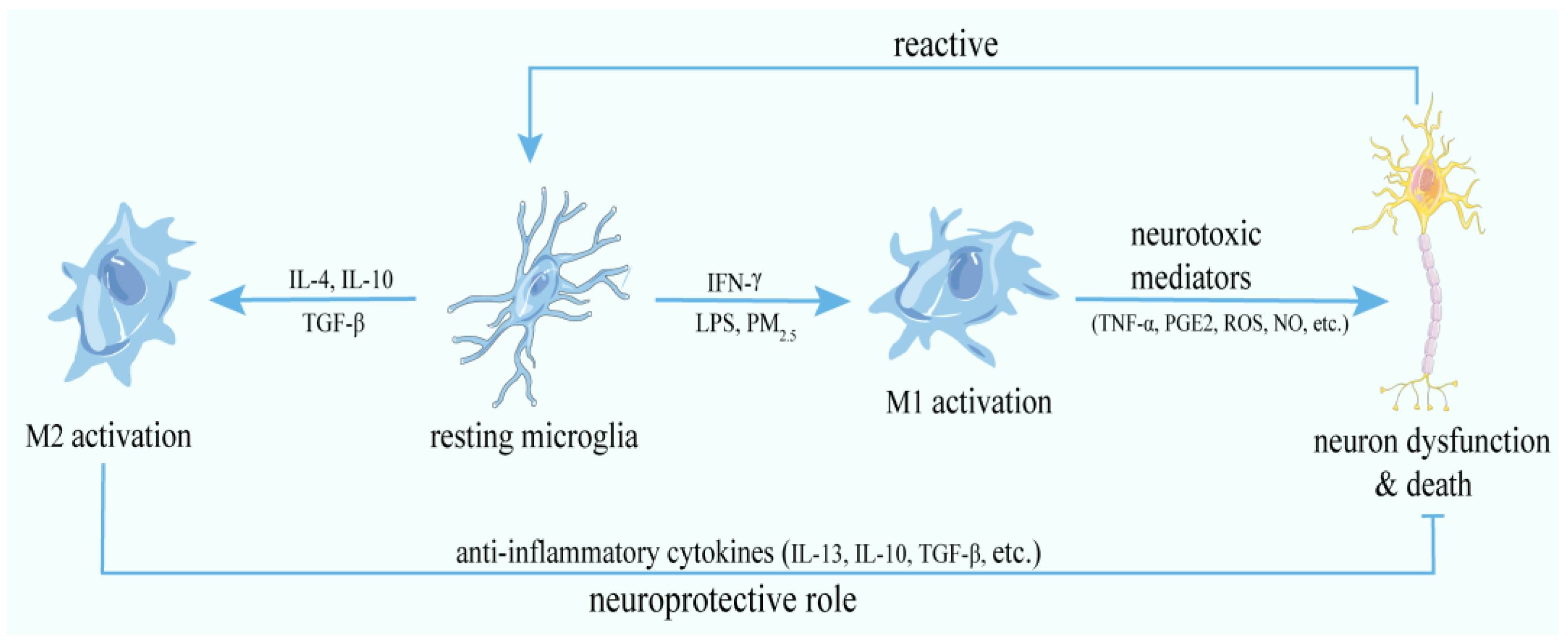 Antioxidants 11 01482 g001 550