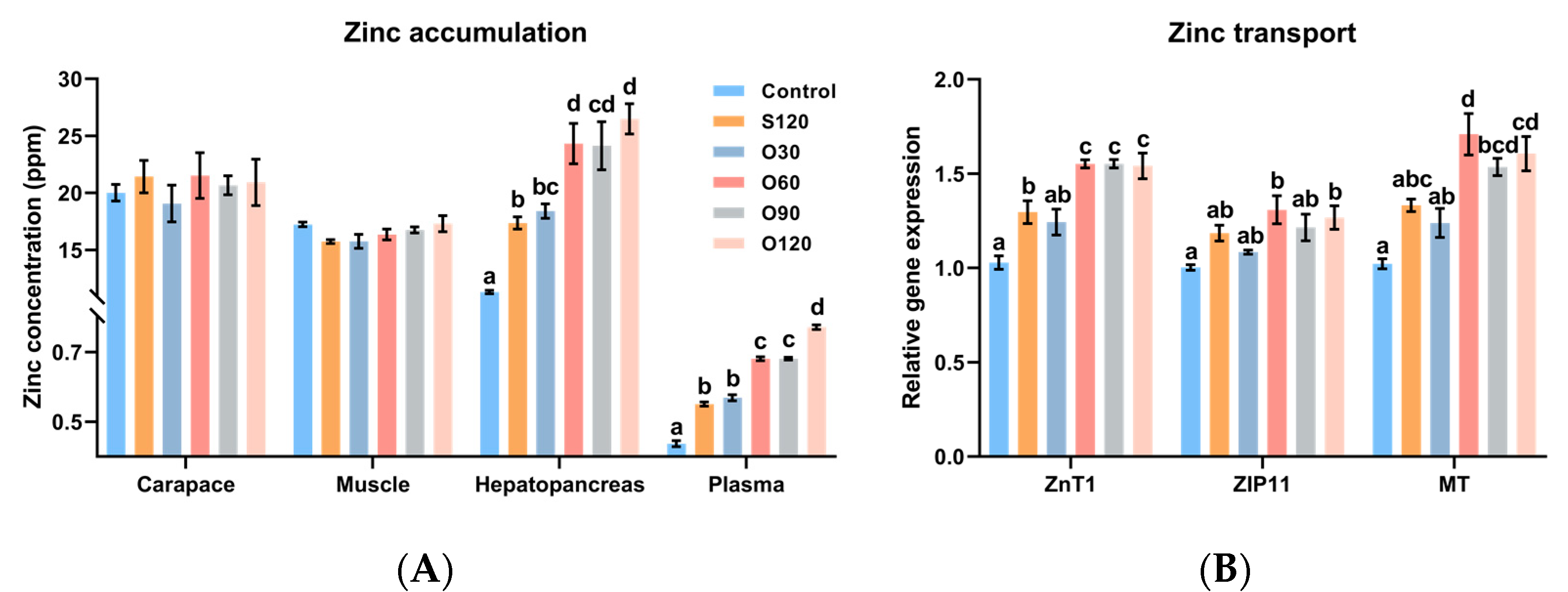 Antioxidants Free Full Text The Assessment Of Dietary Organic Zinc On Zinc Homeostasis Antioxidant Capacity Immune Response Glycolysis And Intestinal Microbiota In White Shrimp Litopenaeus Vannamei Boone 1931