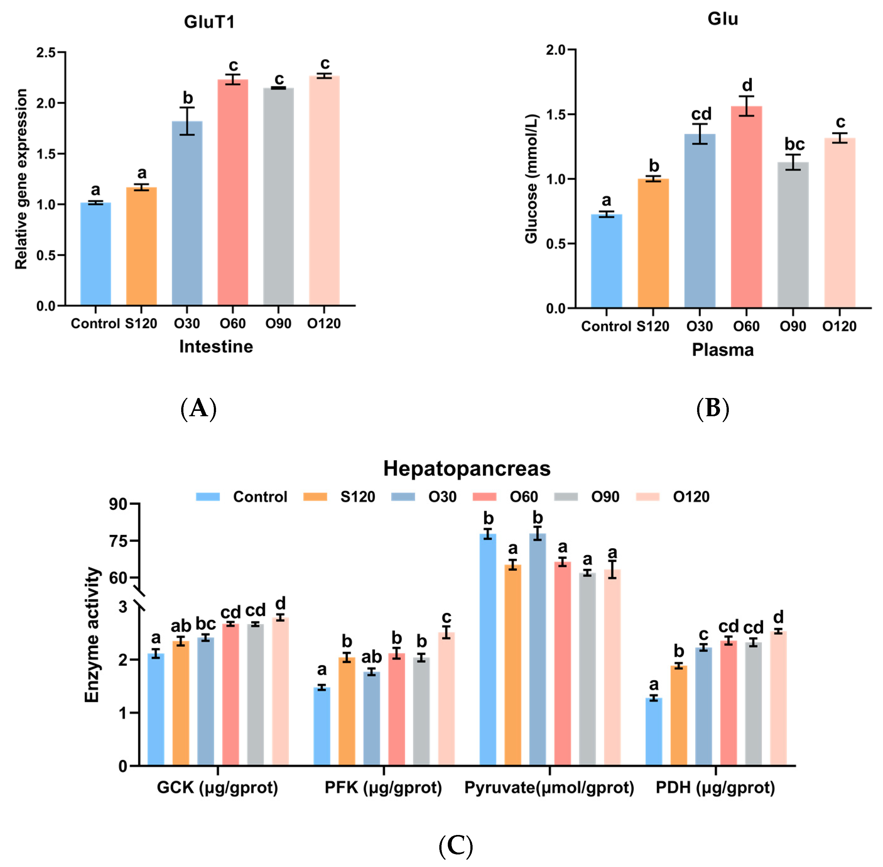 Antioxidants 11 01492 g004 Antioxidants 11 01492 g004