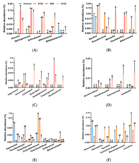 ミュウ ミュウミュウ miumiu ハンドバッグ ギャザーバッグ レザー