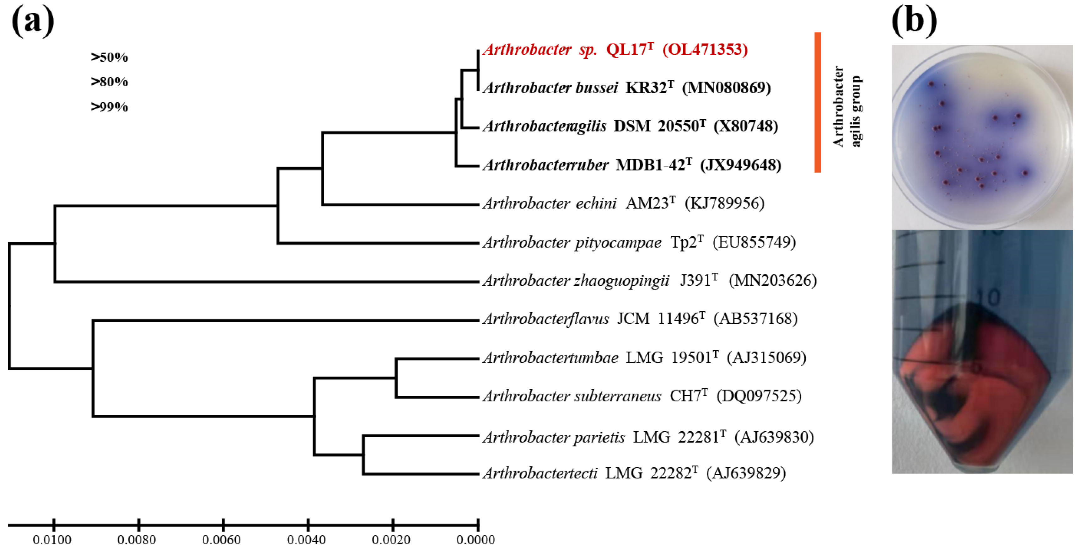 Antioxidants 11 01493 g001