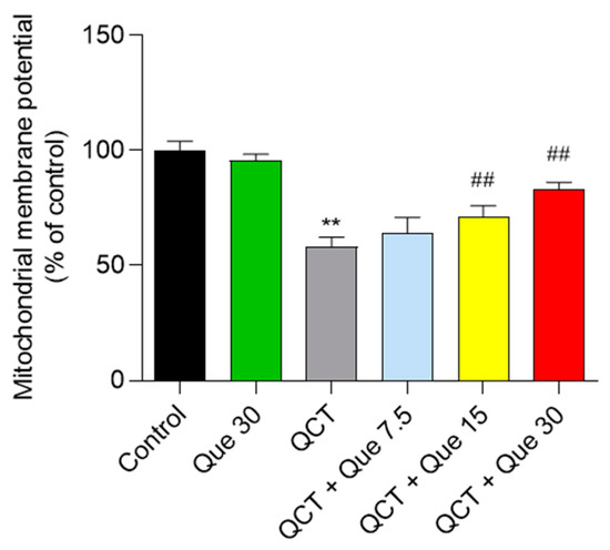 Quercetin Attenuates Quinocetone-Induced Cell Apoptosis In