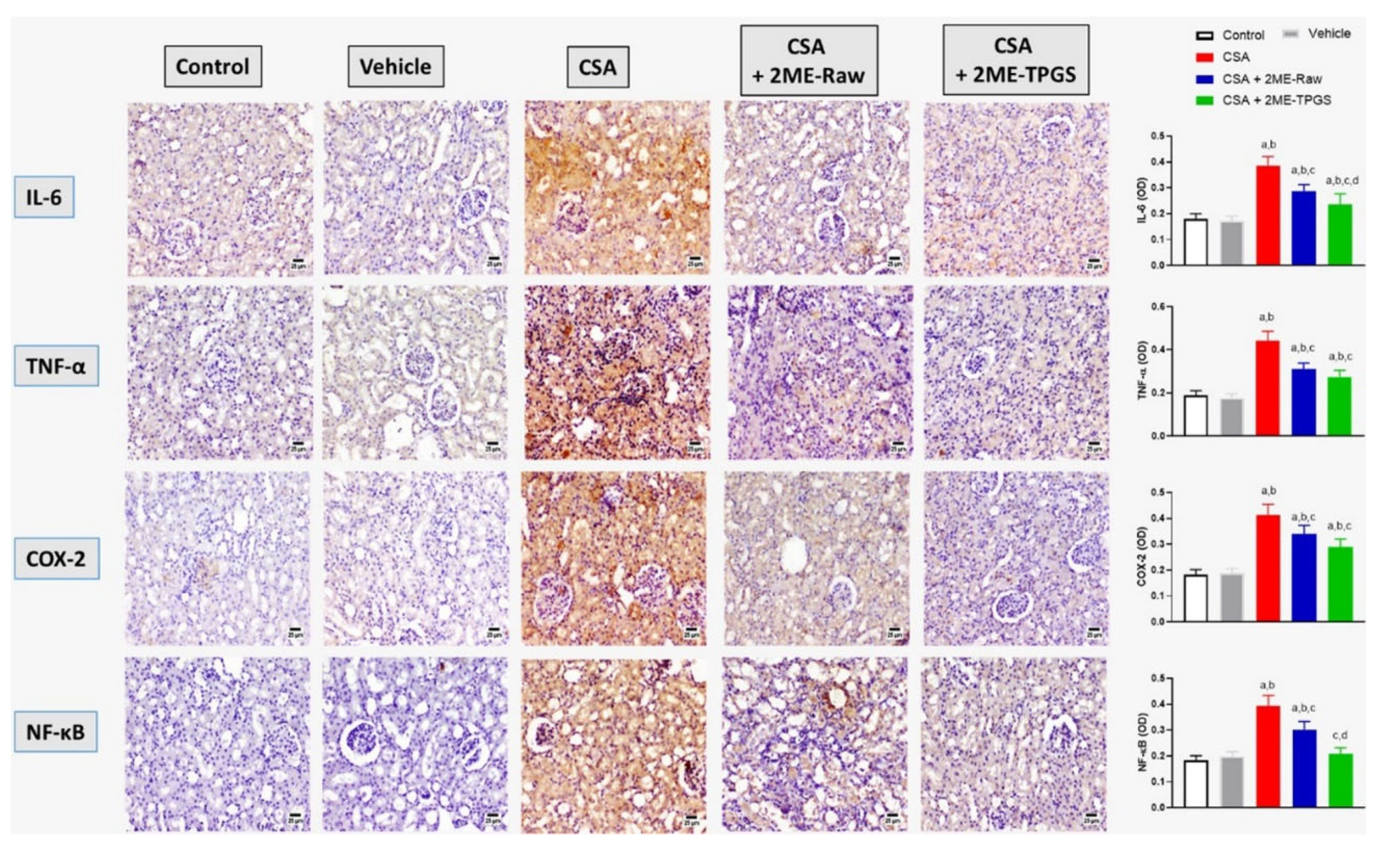 Antioxidants 11 01499 g005 Antioxidants 11 01499 g005